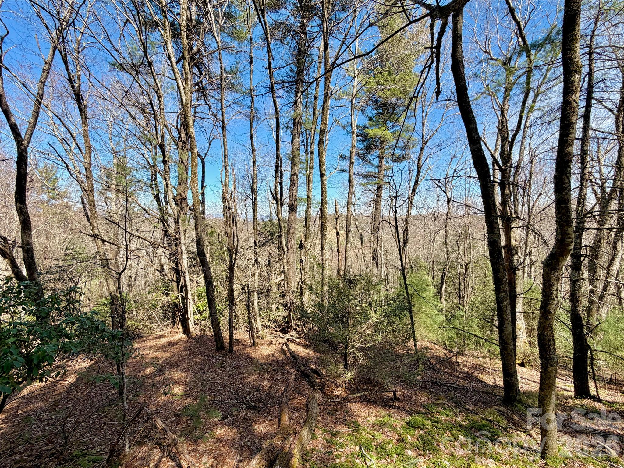 Tbd Grandview Drive Tract A Property Photo 38