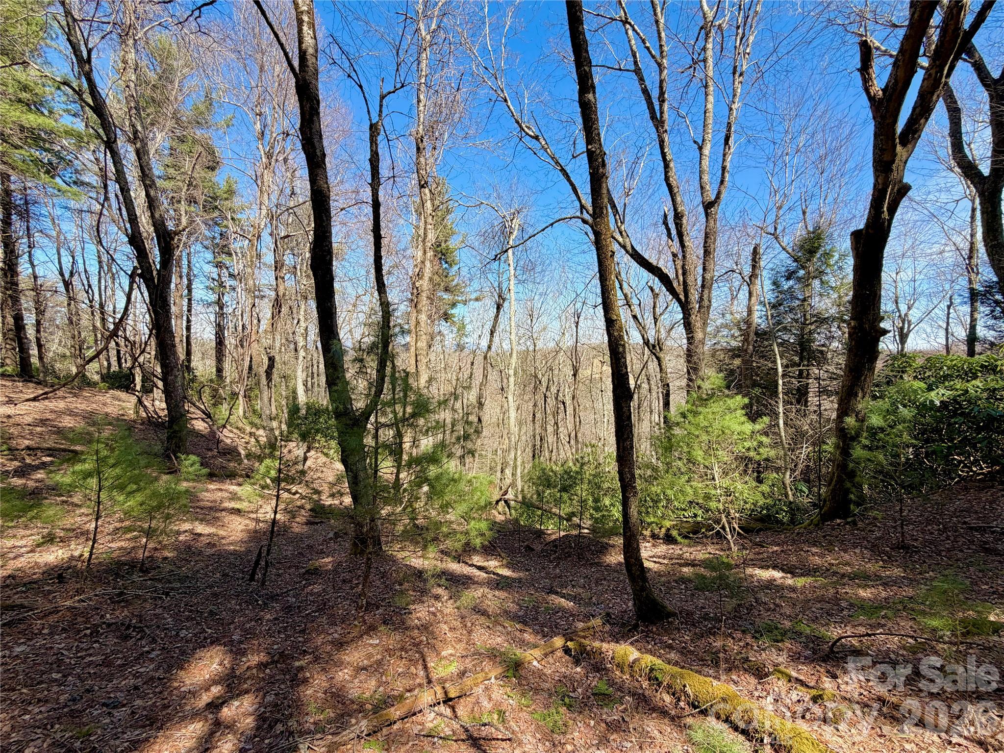 Tbd Grandview Drive Tract A Property Photo 39