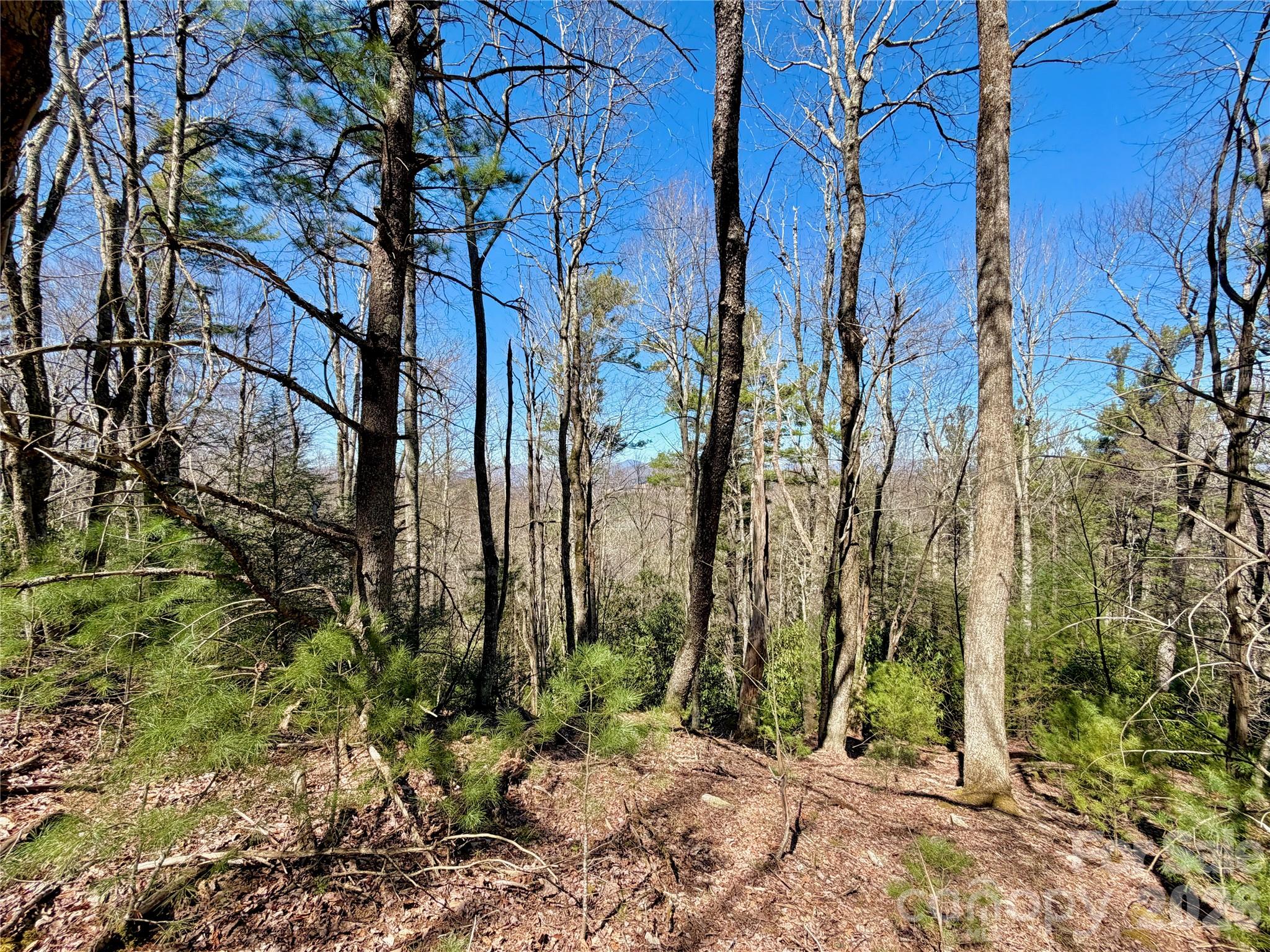 Tbd Grandview Drive Tract A Property Photo 40