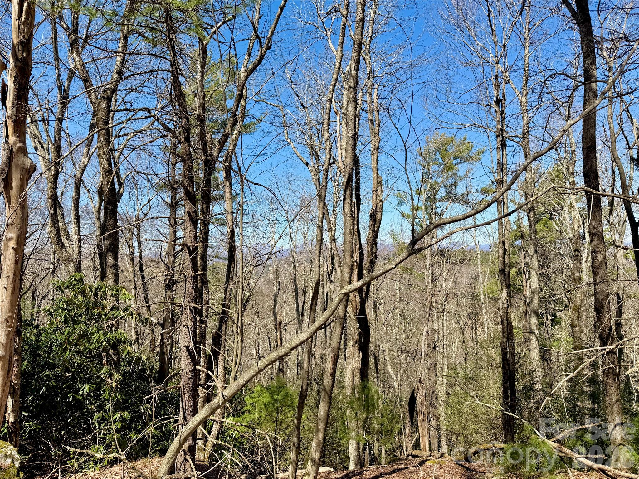Tbd Grandview Drive Tract A Property Photo 41