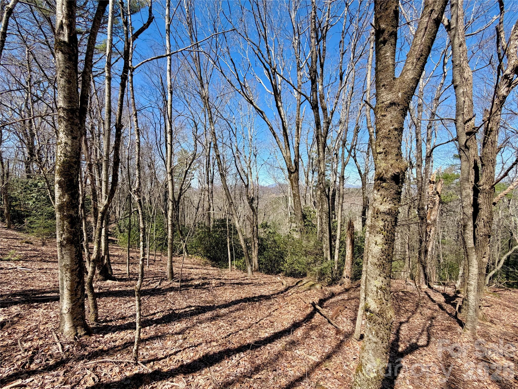 Tbd Grandview Drive Tract A Property Photo 42