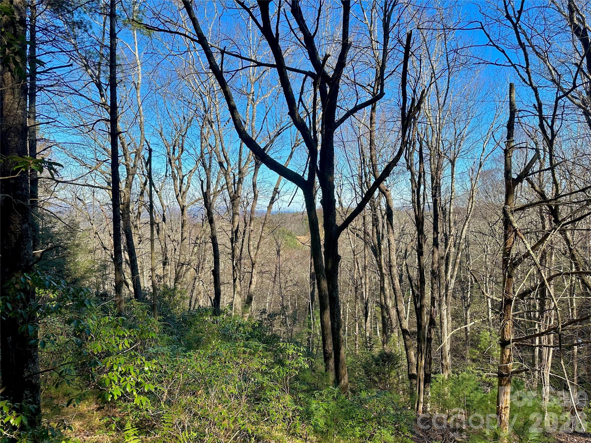 Tbd Grandview Drive Tract A Property Photo 43
