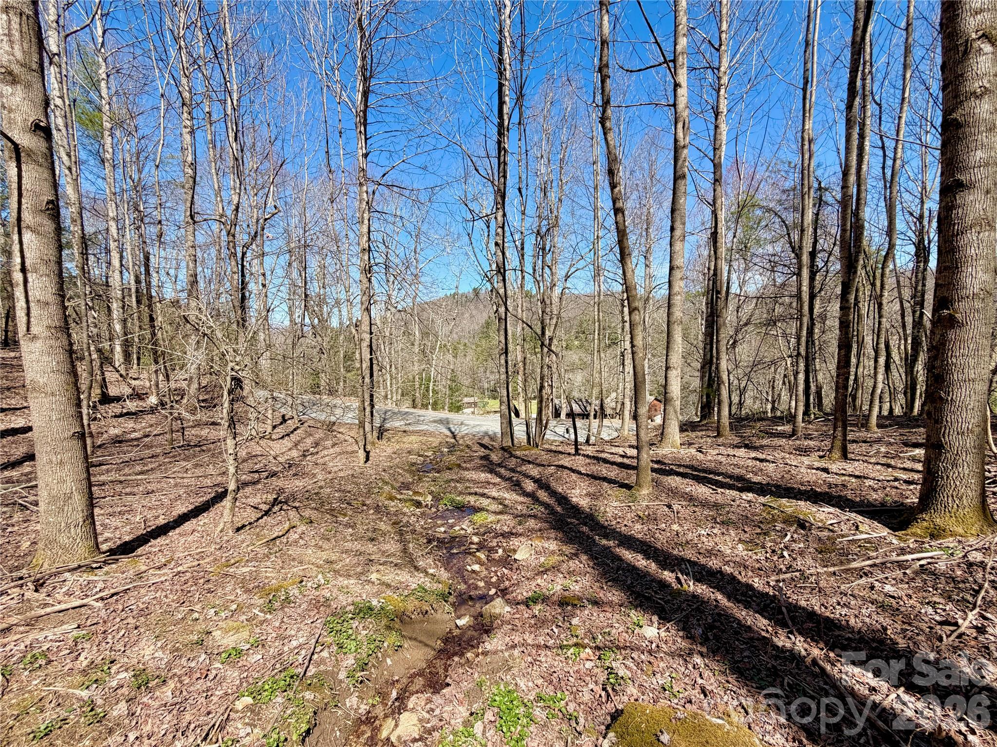 Tbd George Hayes Road Tract B Property Photo 6