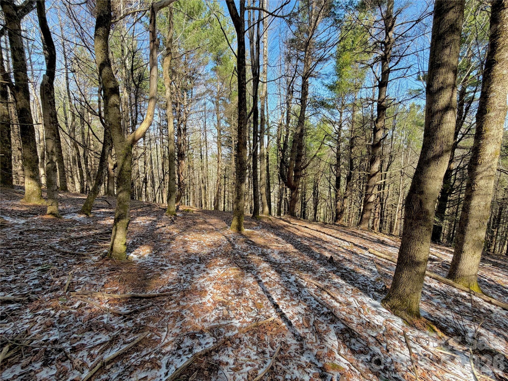 Tbd George Hayes Road Tract B Property Photo 10