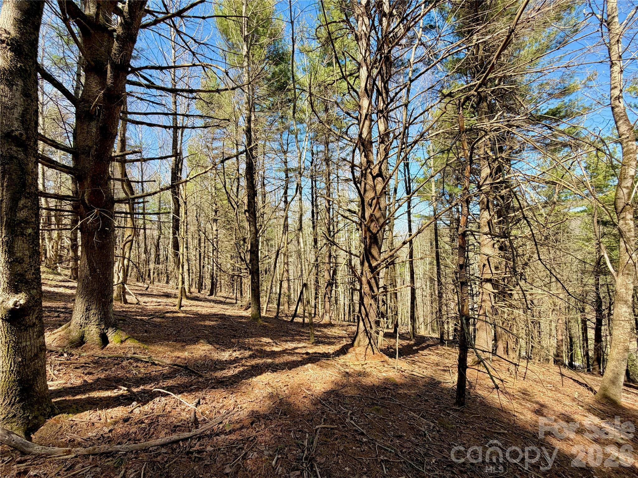 Tbd George Hayes Road Tract B Property Photo 15