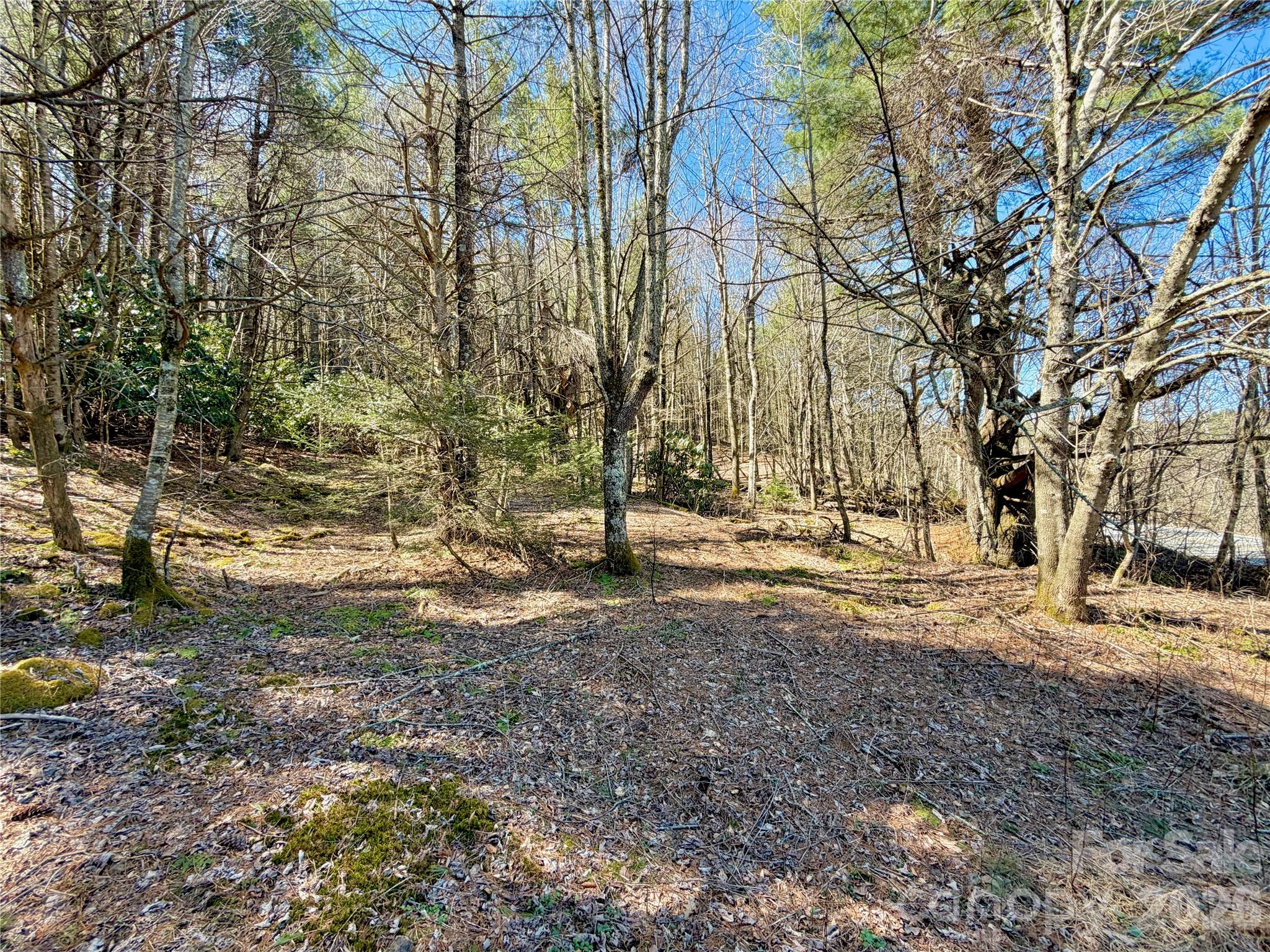 Tbd George Hayes Road Tract C Property Photo 19