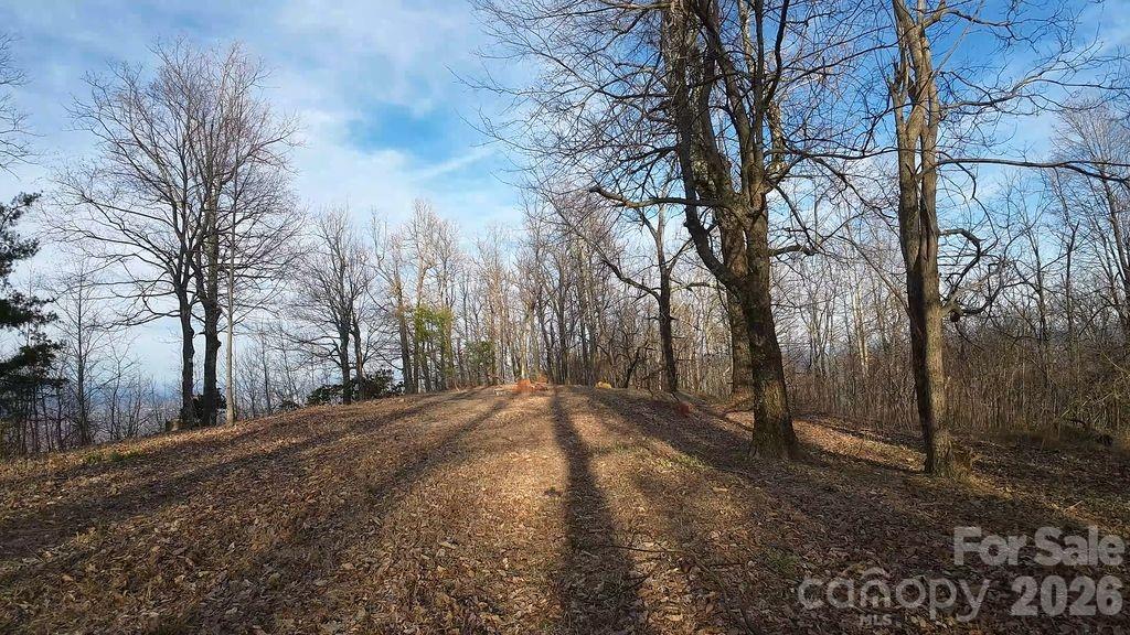 7400 Burkemont Road Property Photo 4