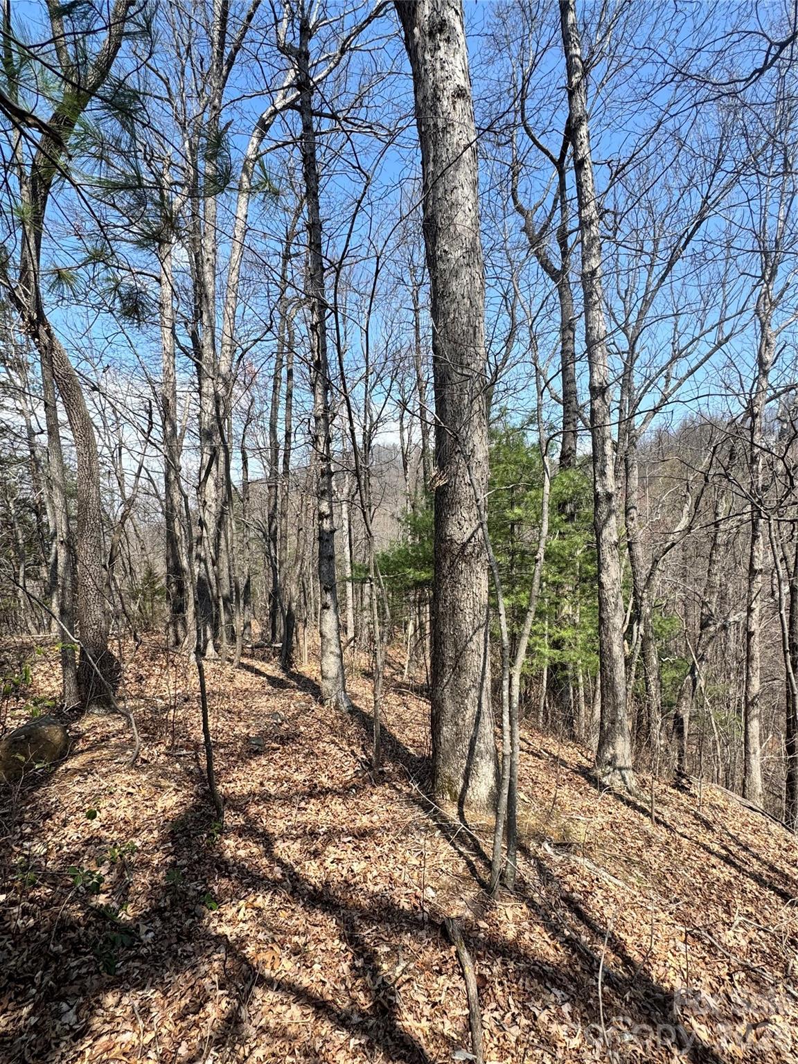 0000 Pinnacle Parkway Property Photo 3