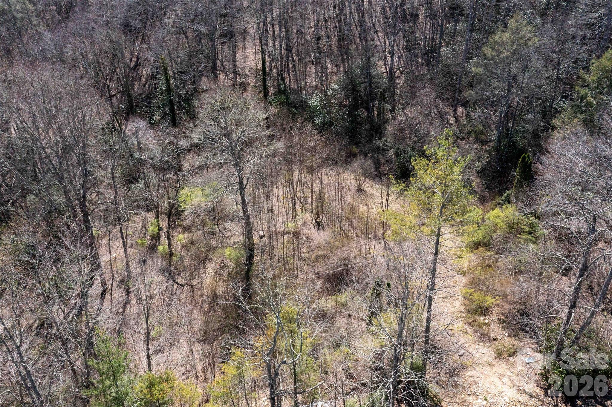 99 Banjo Branch Road Property Photo 3