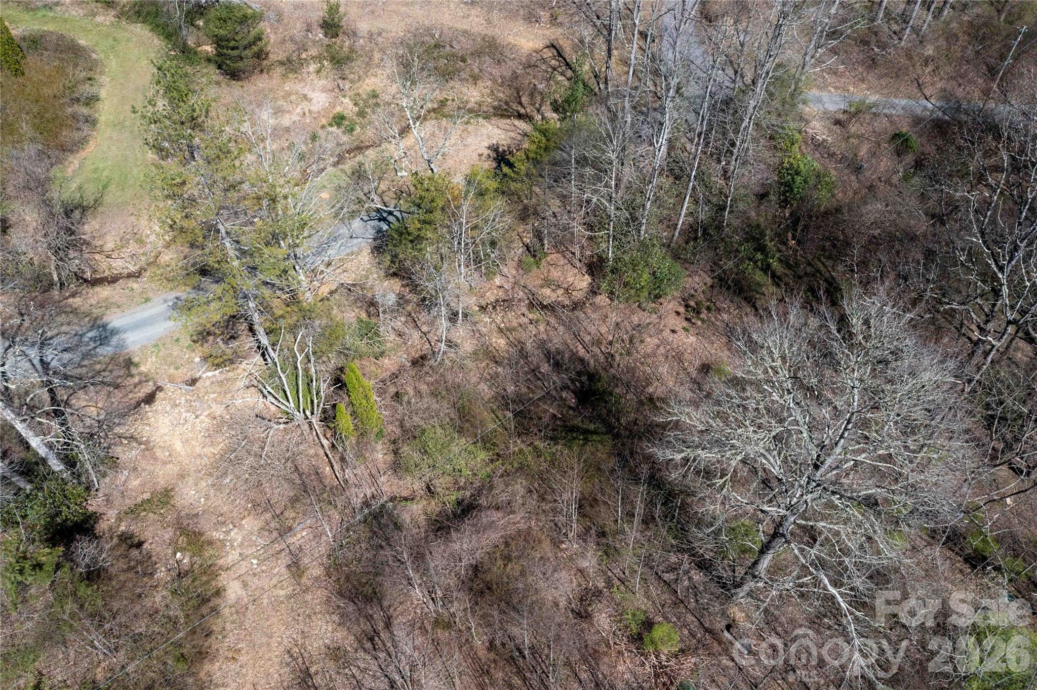 99 Banjo Branch Road Property Photo 4