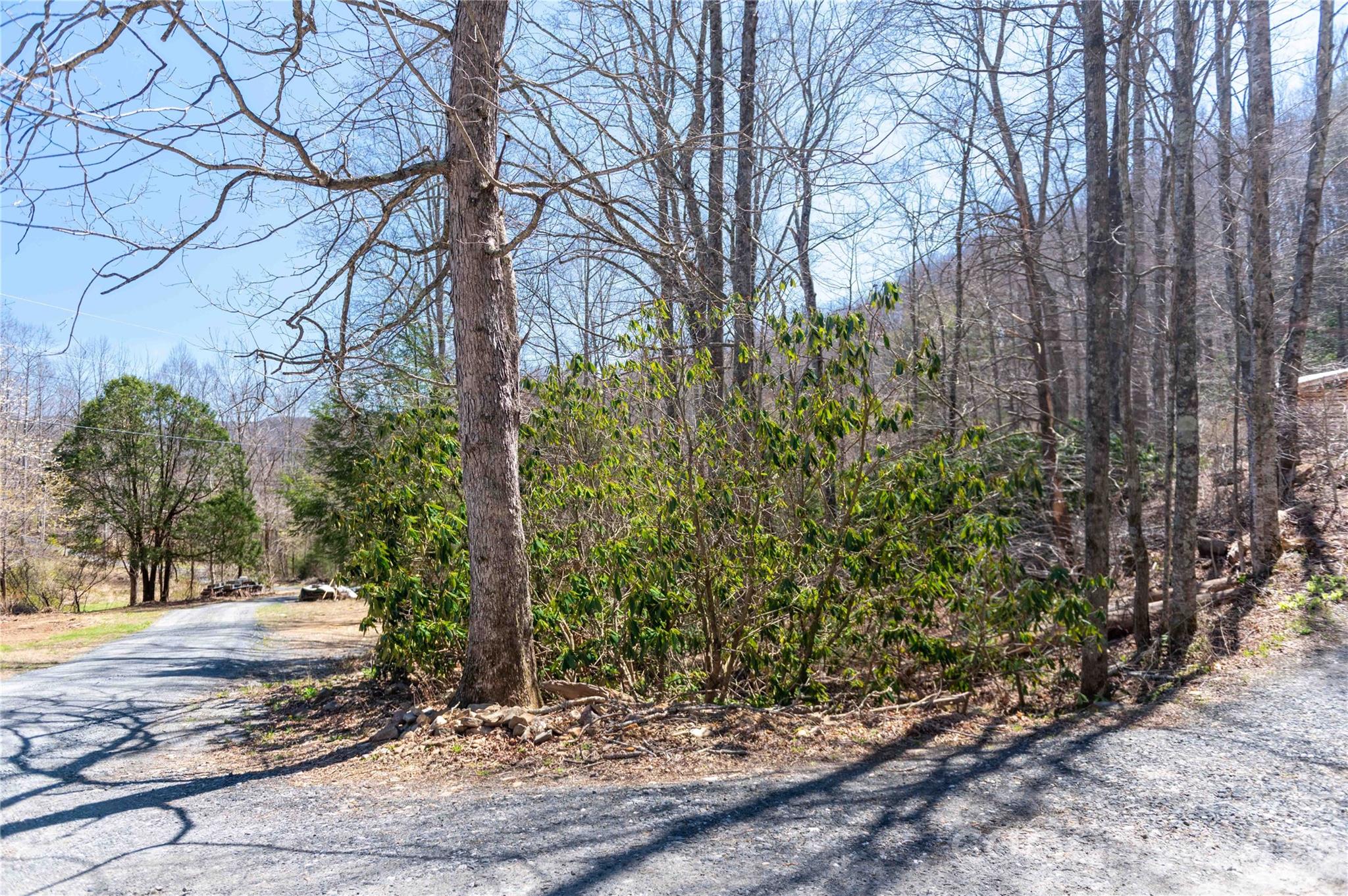 99 Banjo Branch Road Property Photo 5
