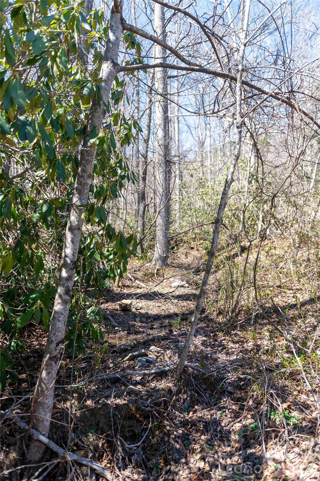 99 Banjo Branch Road Property Photo 6