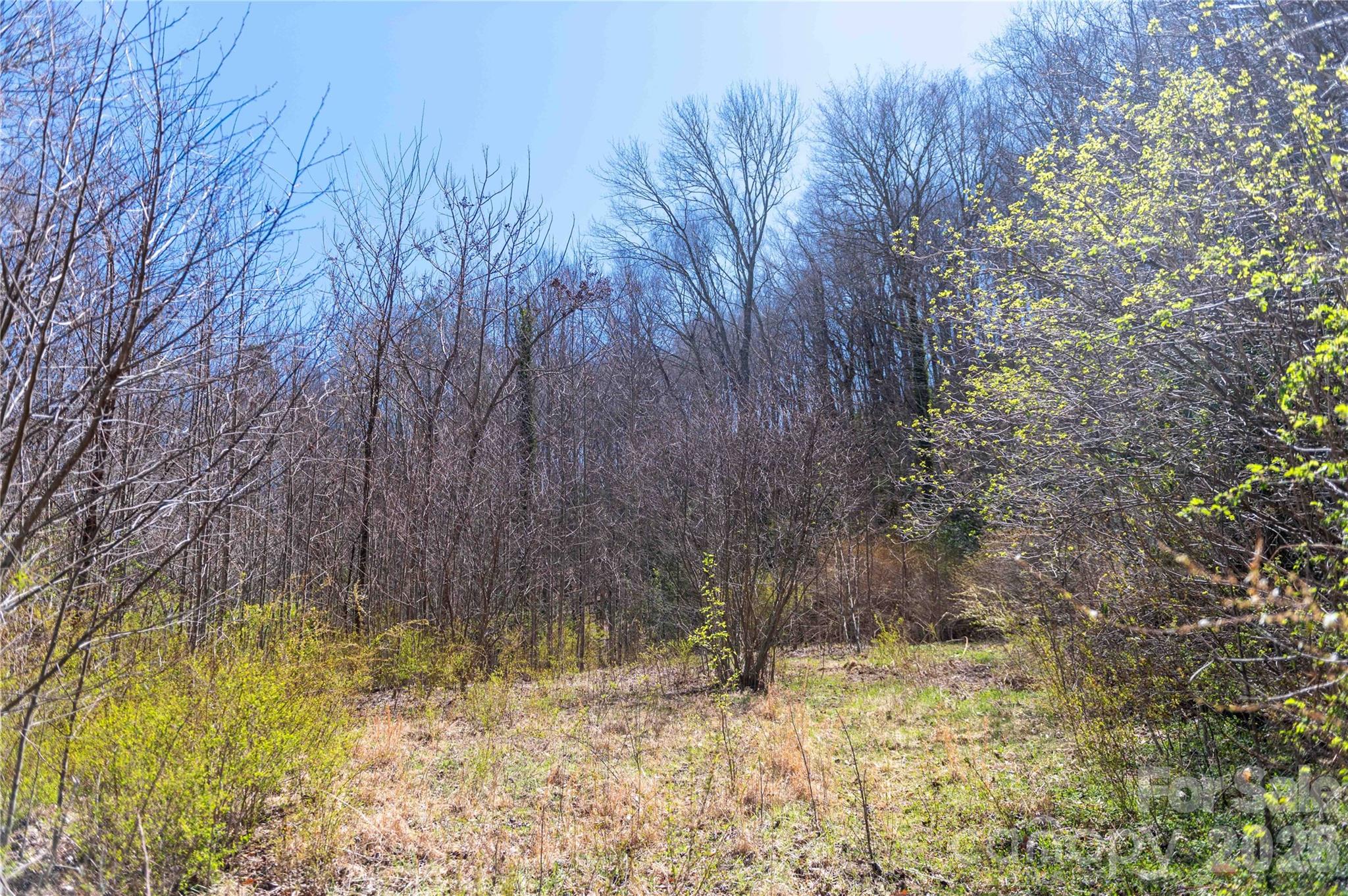 99 Banjo Branch Road Property Photo 9