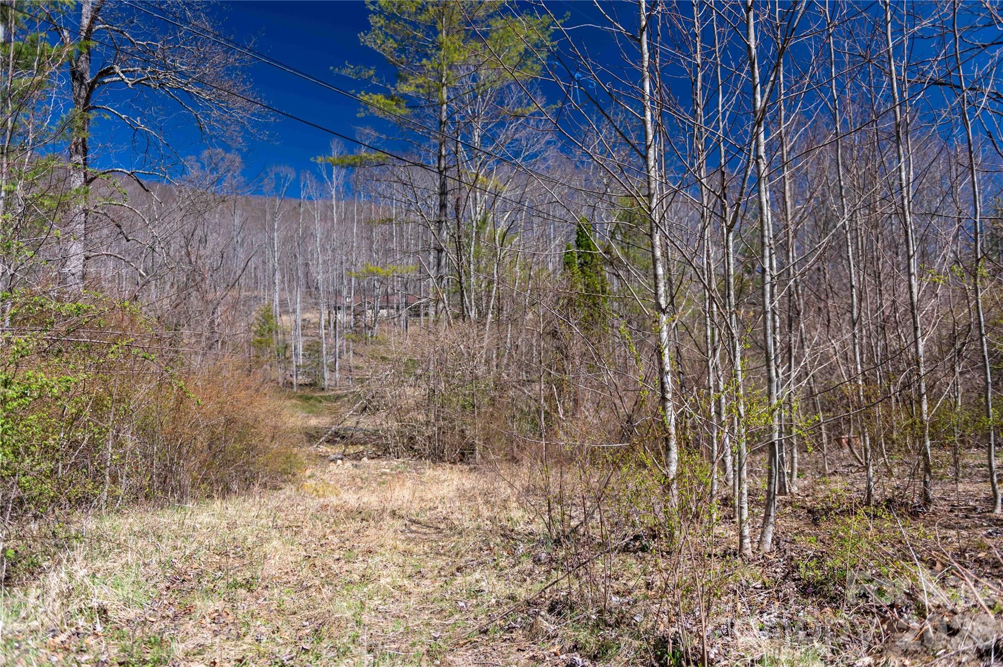 99 Banjo Branch Road Property Photo 10