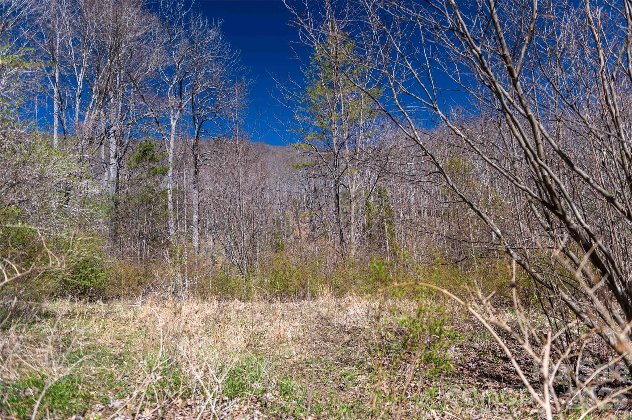 99 Banjo Branch Road Property Photo 14