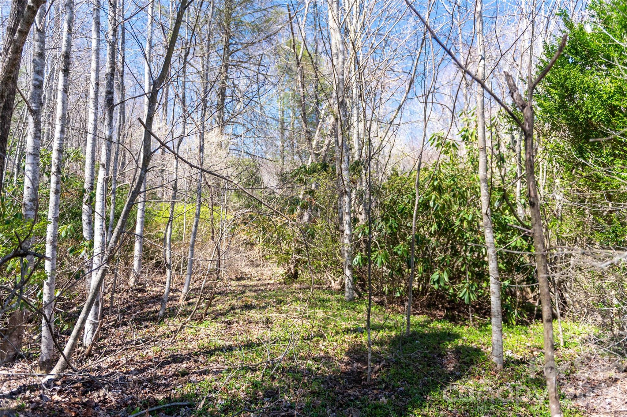 99 Banjo Branch Road Property Photo 16