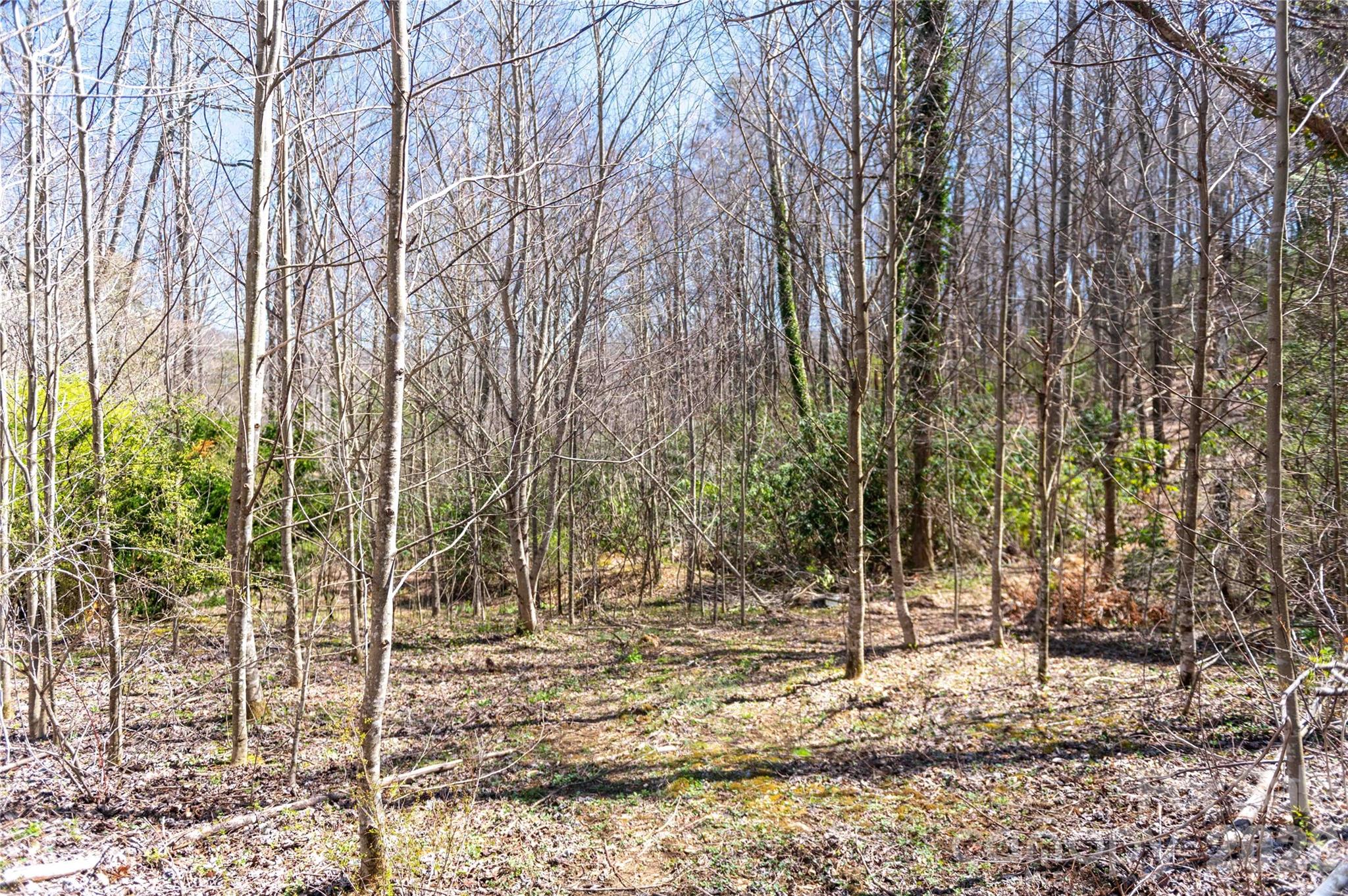 99 Banjo Branch Road Property Photo 17