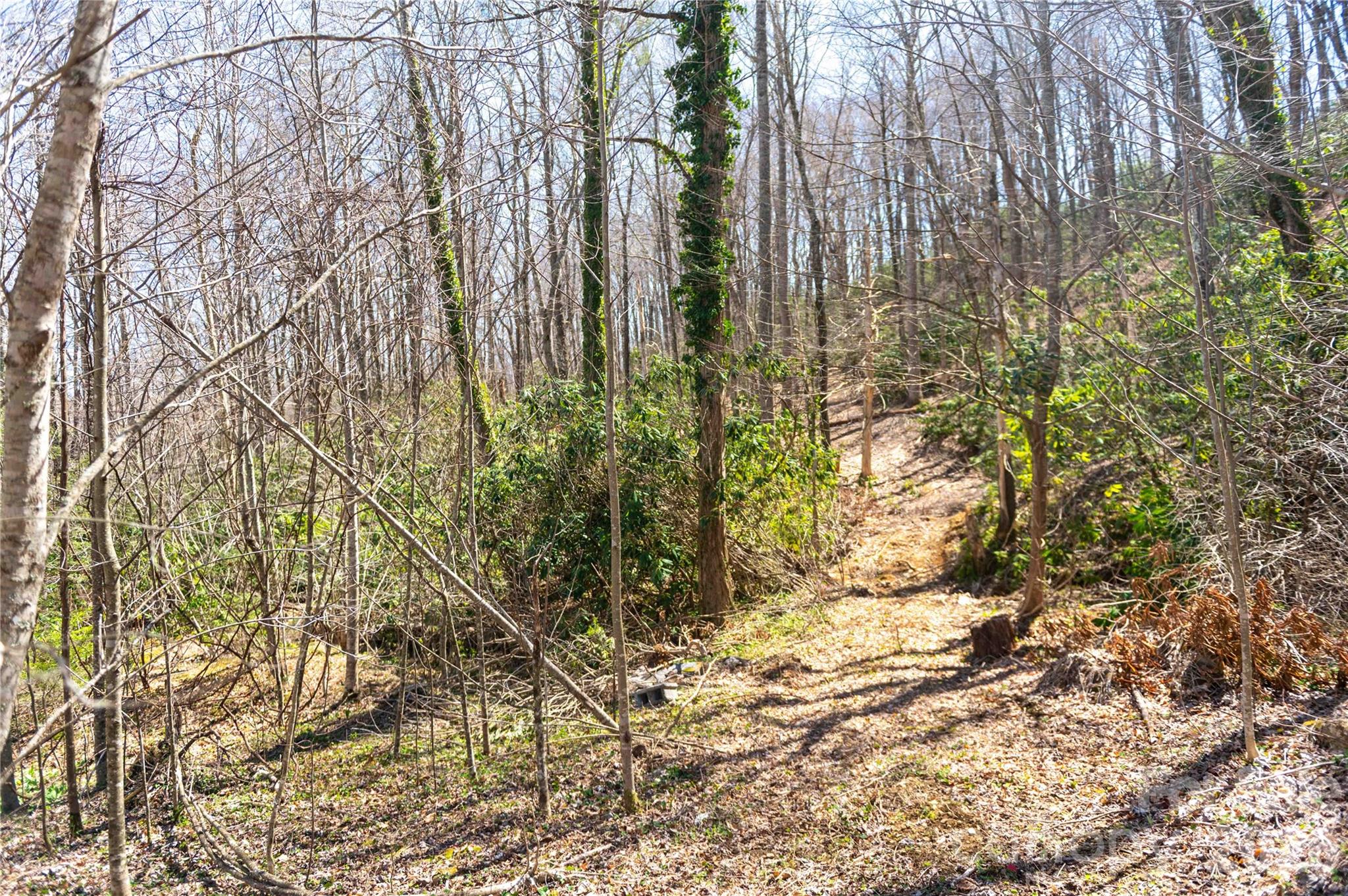 99 Banjo Branch Road Property Photo 18