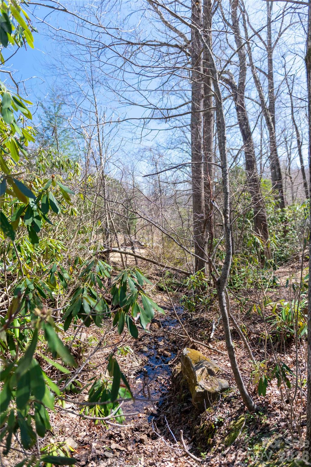 99 Banjo Branch Road Property Photo 20