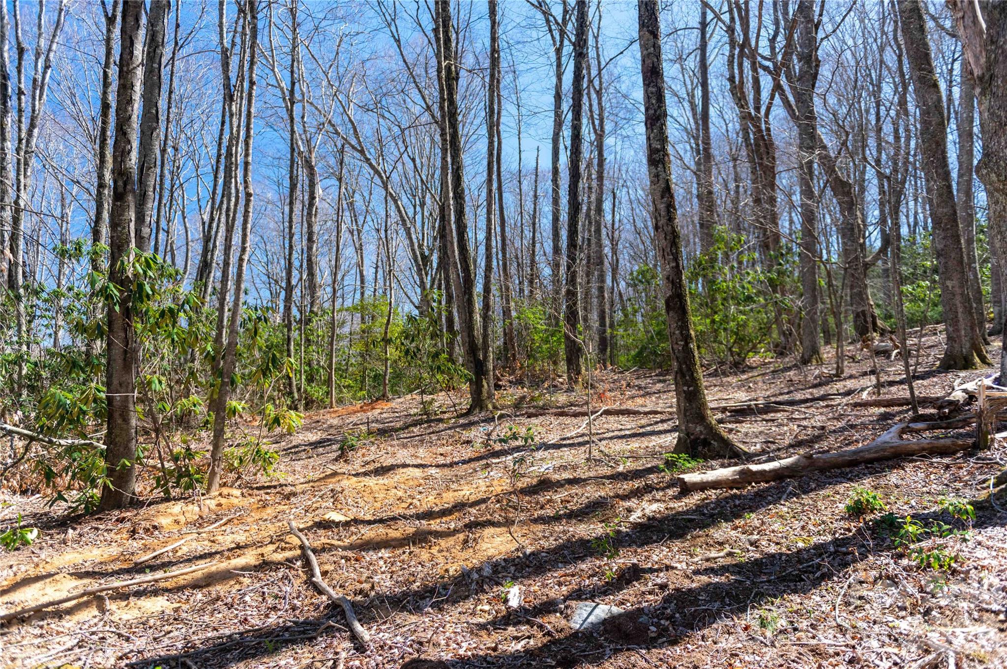 99 Banjo Branch Road Property Photo 23