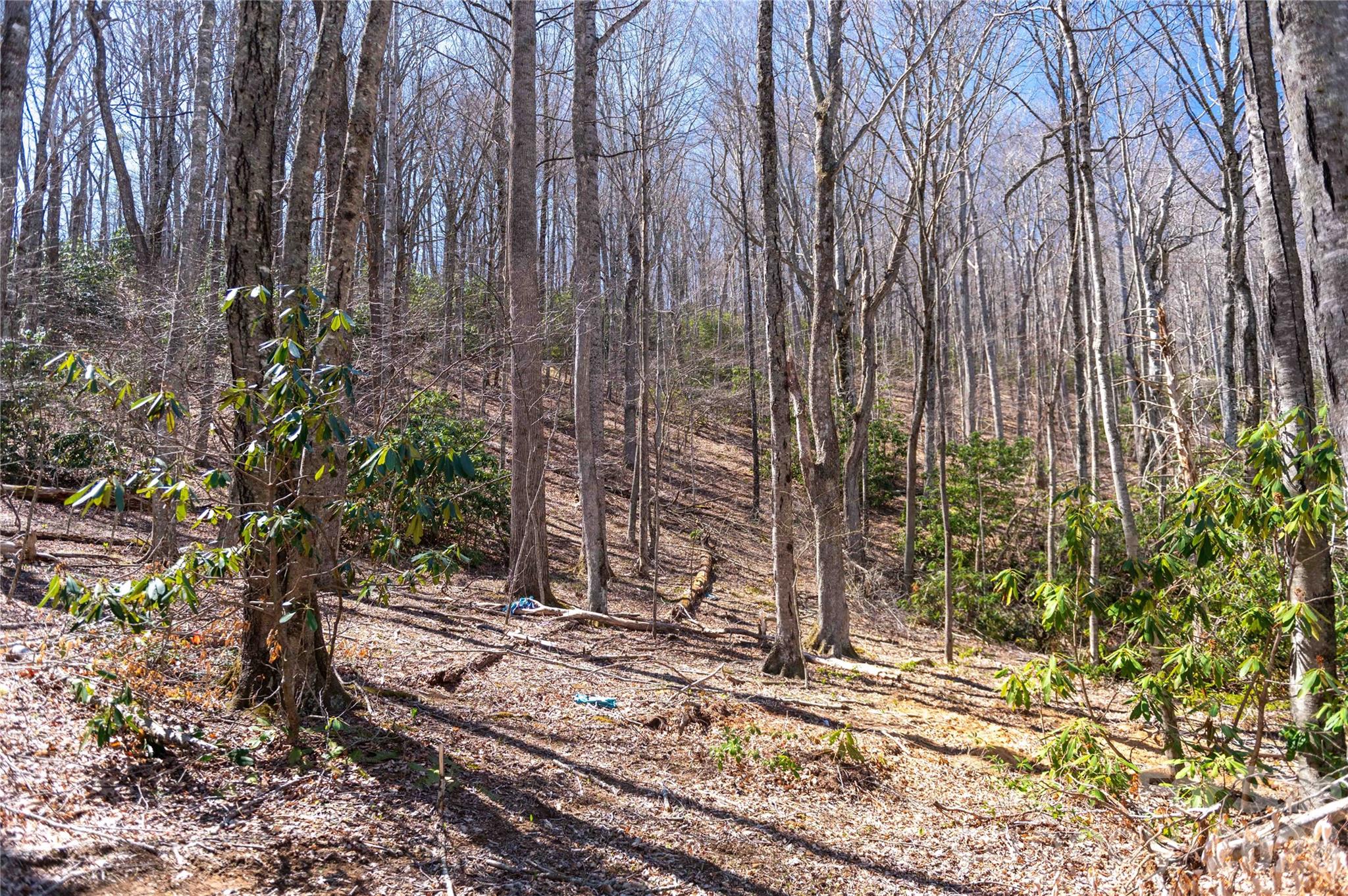 99 Banjo Branch Road Property Photo 24