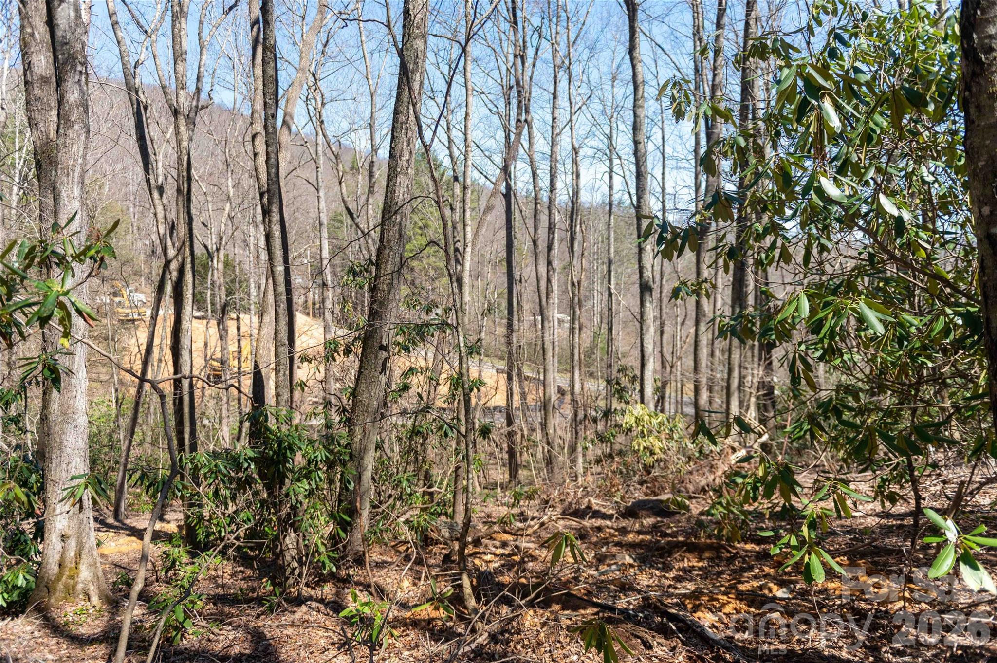 99 Banjo Branch Road Property Photo 25