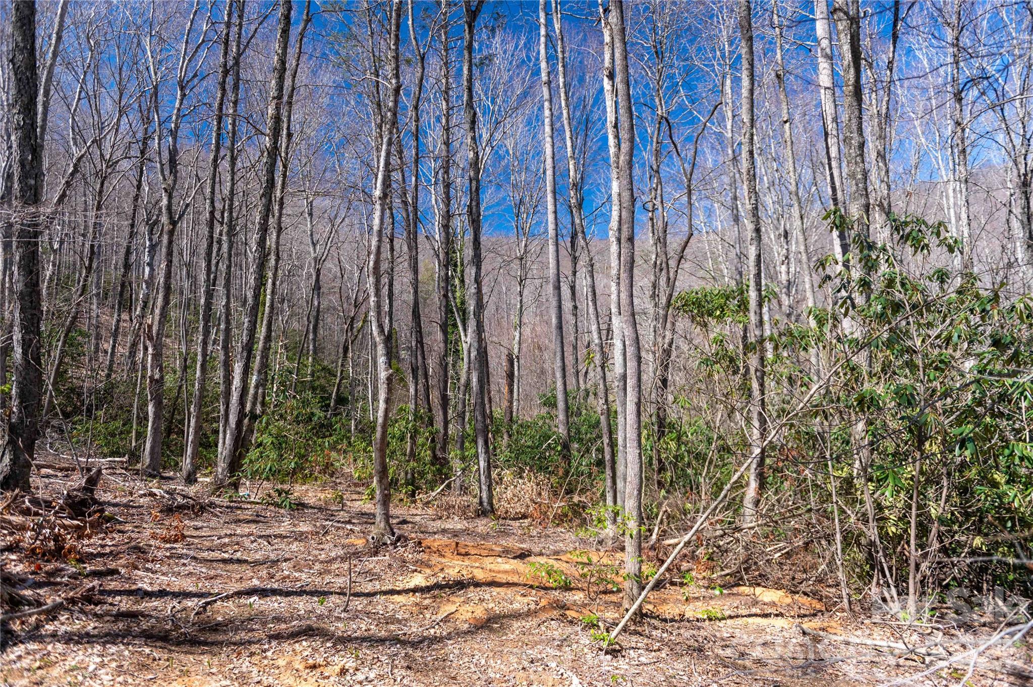 99 Banjo Branch Road Property Photo 26