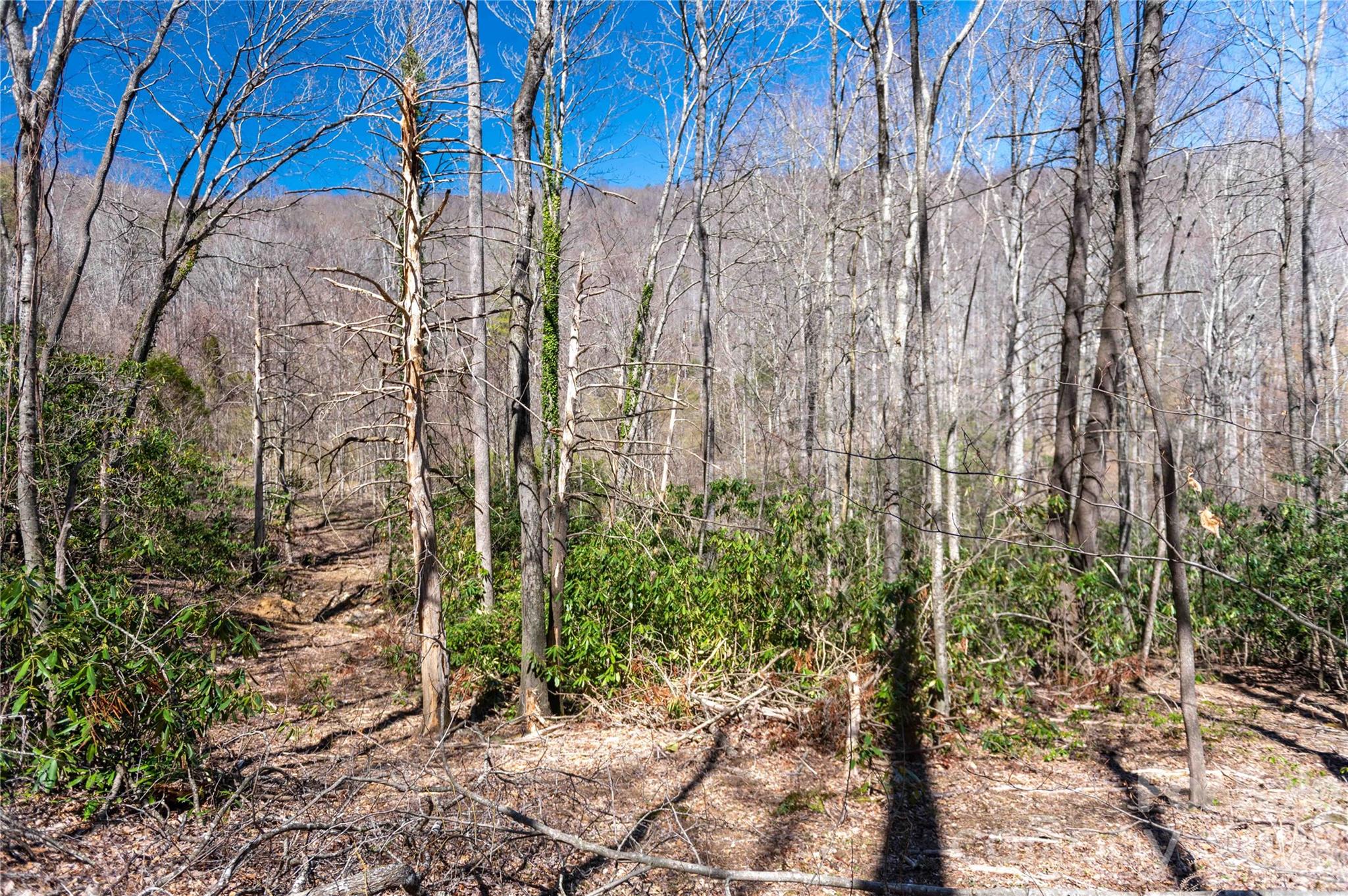 99 Banjo Branch Road Property Photo 29