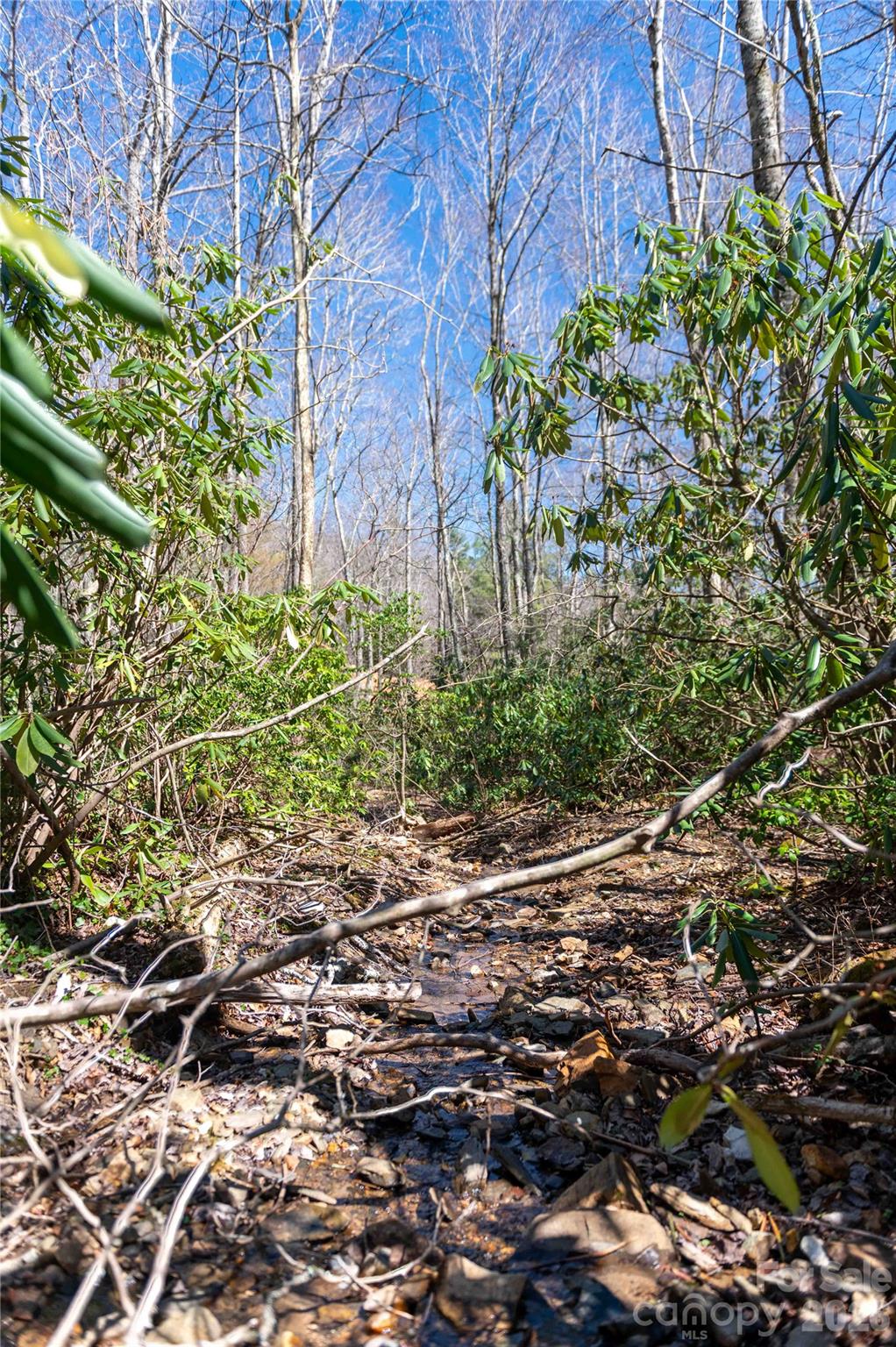99 Banjo Branch Road Property Photo 30