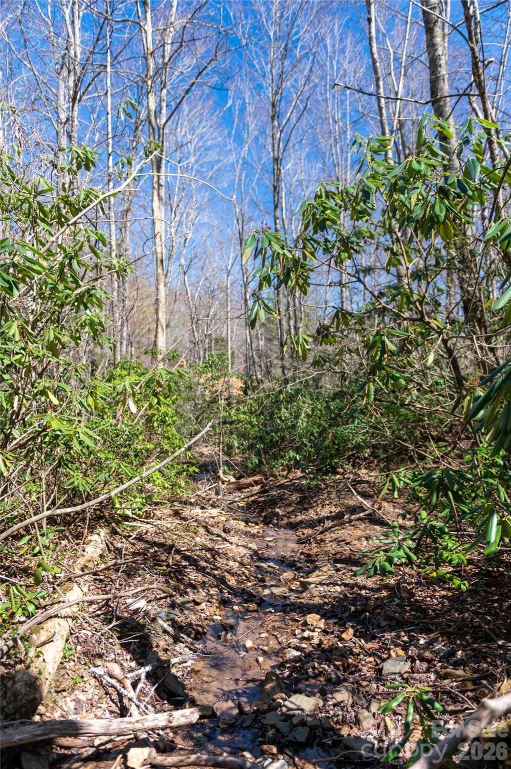 99 Banjo Branch Road Property Photo 31