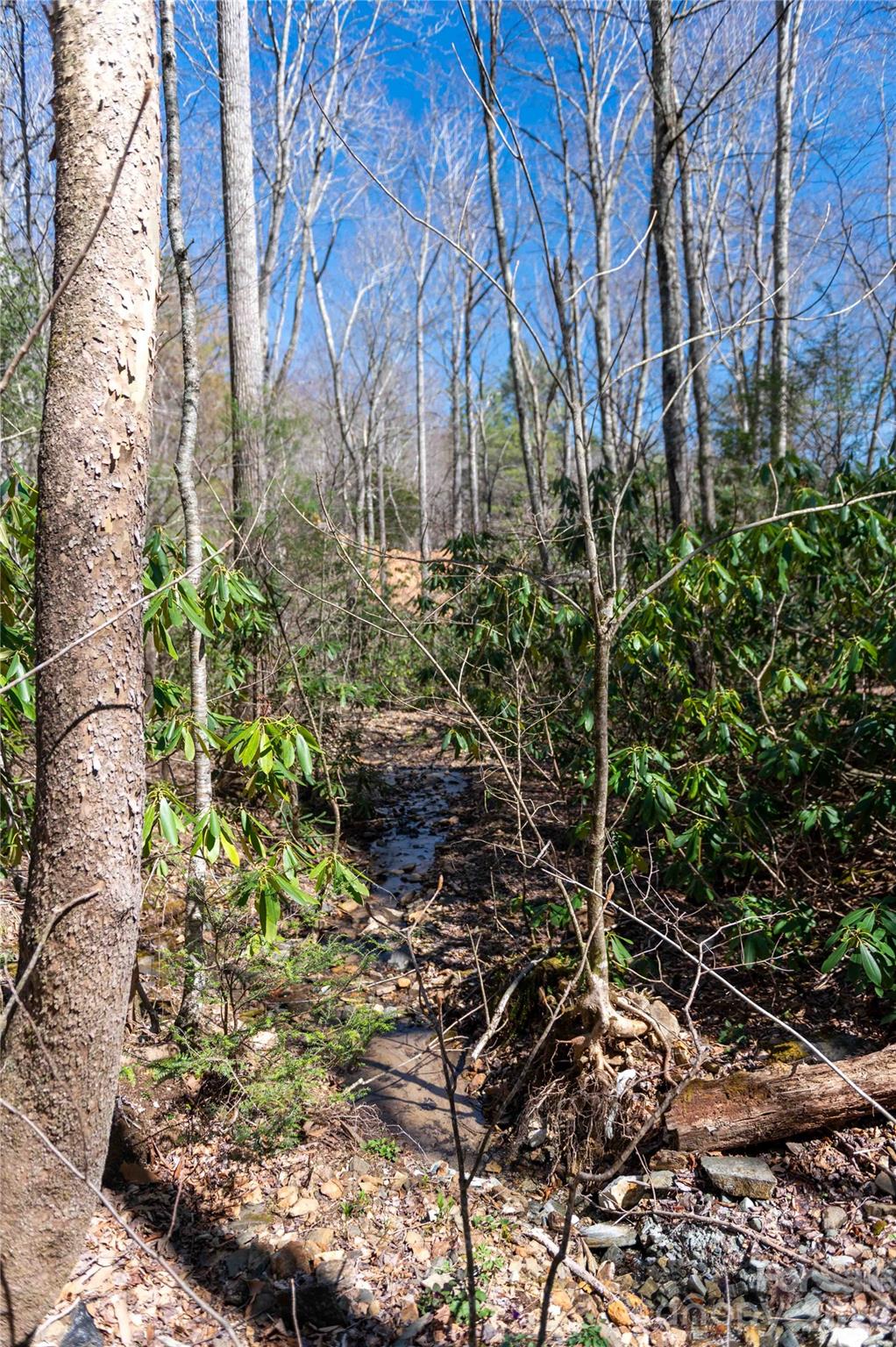 99 Banjo Branch Road Property Photo 32