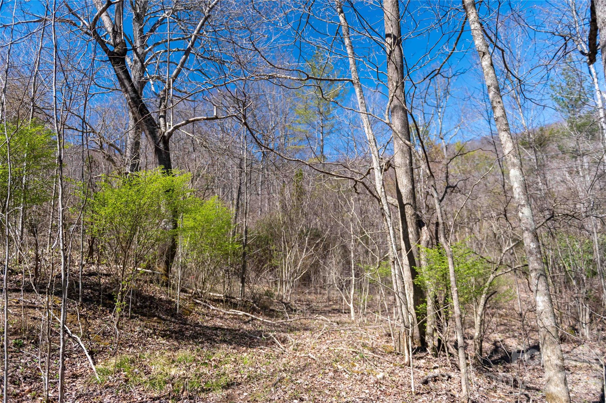 99 Banjo Branch Road Property Photo 36