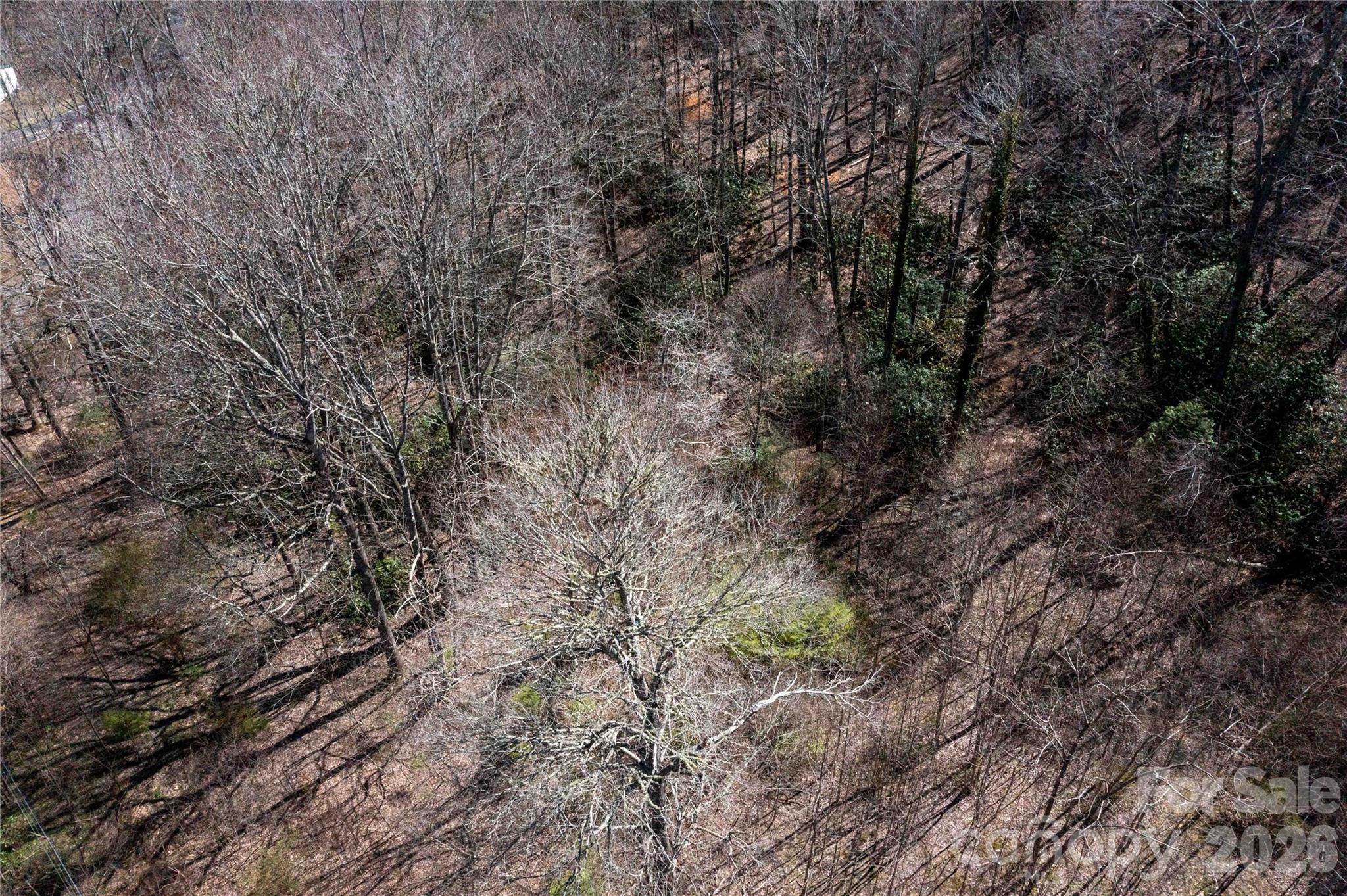 99 Banjo Branch Road Property Photo 37
