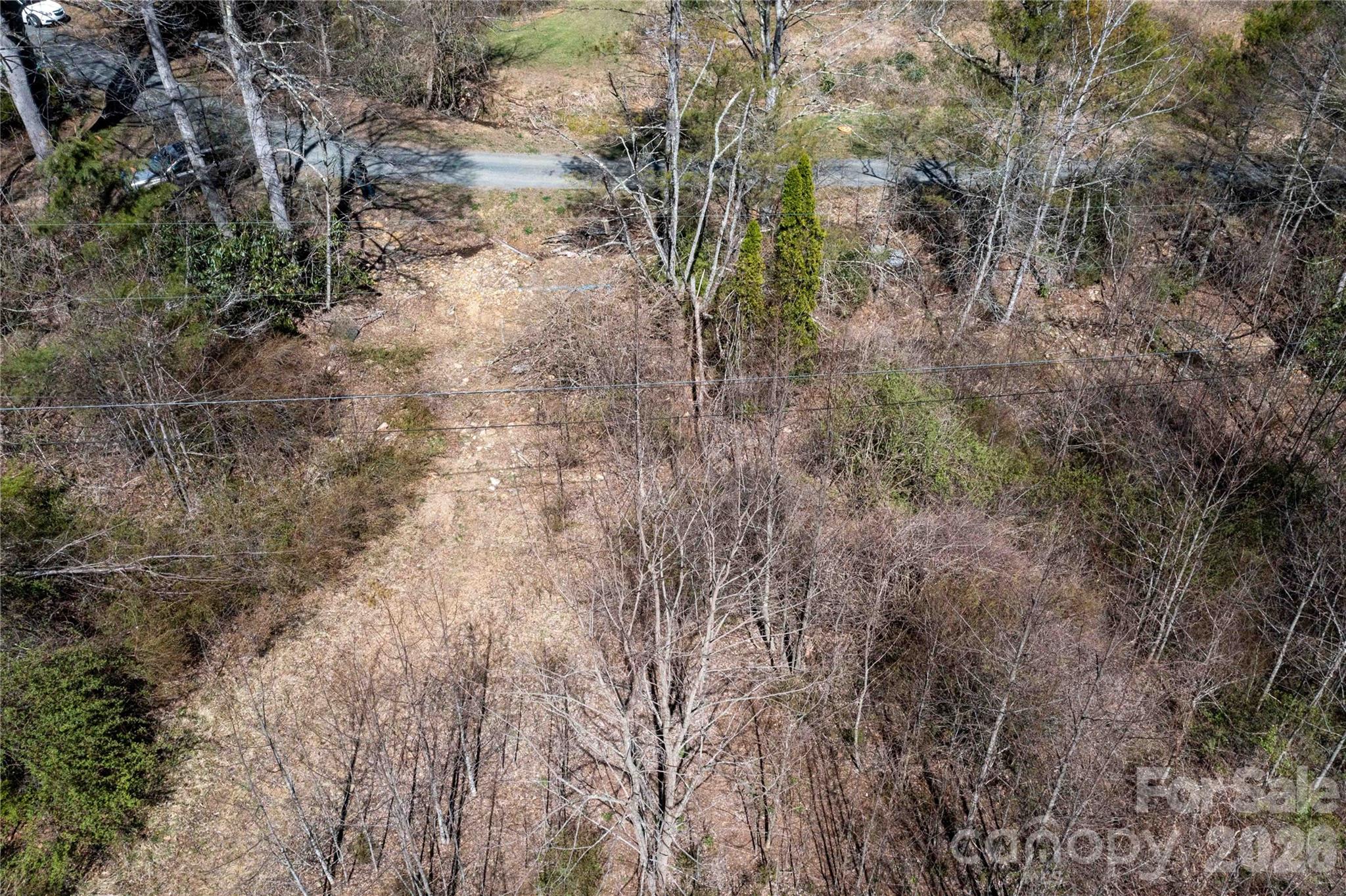 99 Banjo Branch Road Property Photo 38