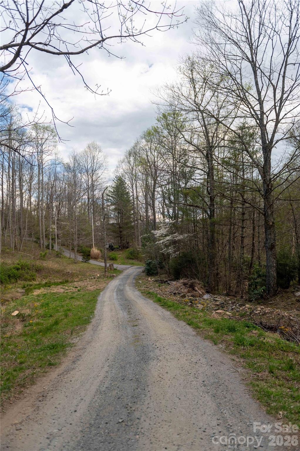 99 Banjo Branch Road Property Photo 40
