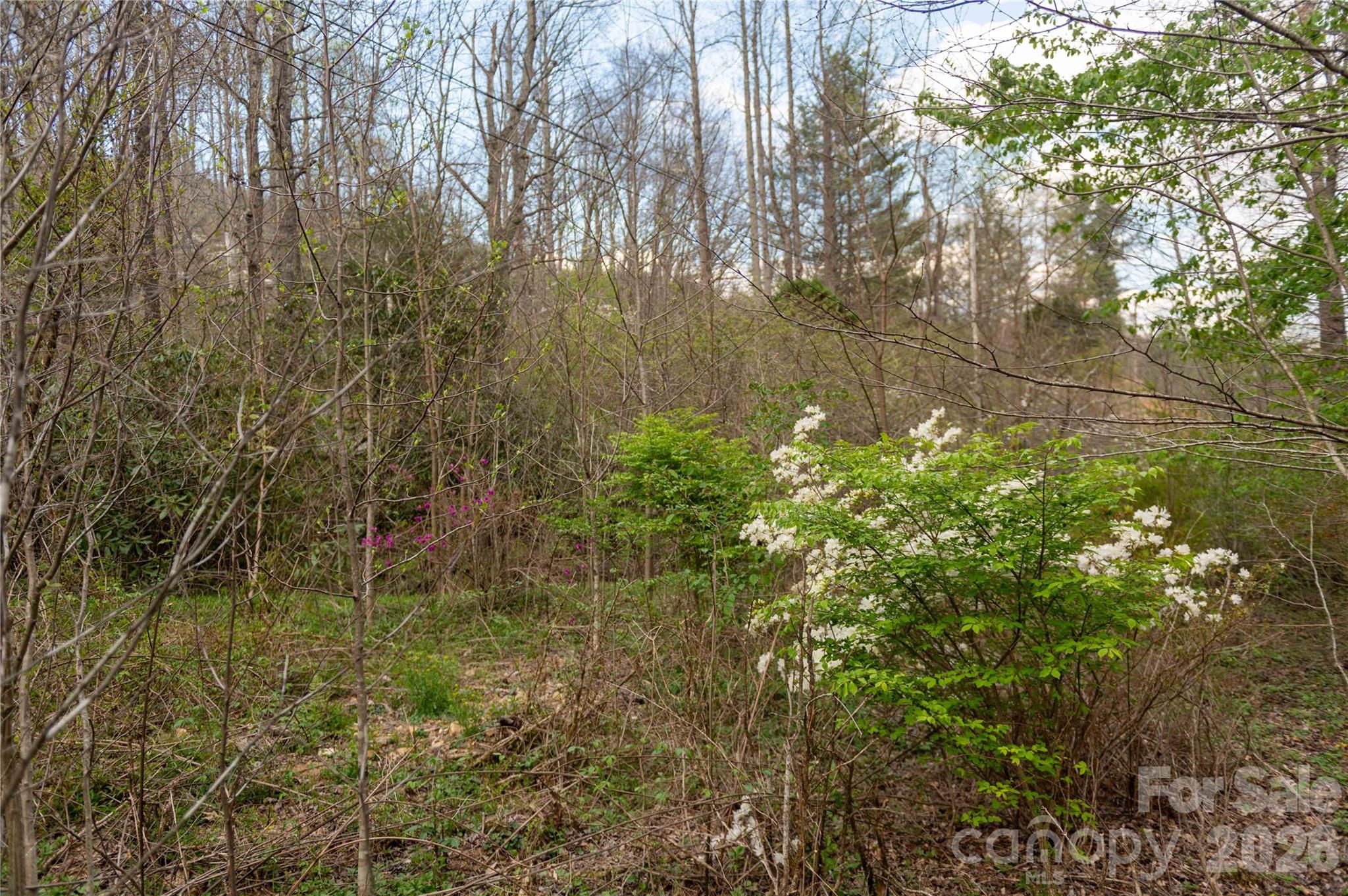 99 Banjo Branch Road Property Photo 41