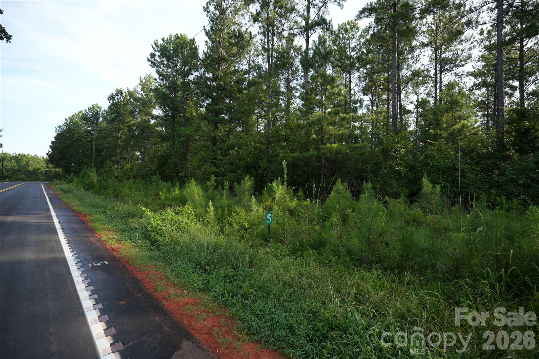 00 Bobby Faucette Road 5 Property Photo 1