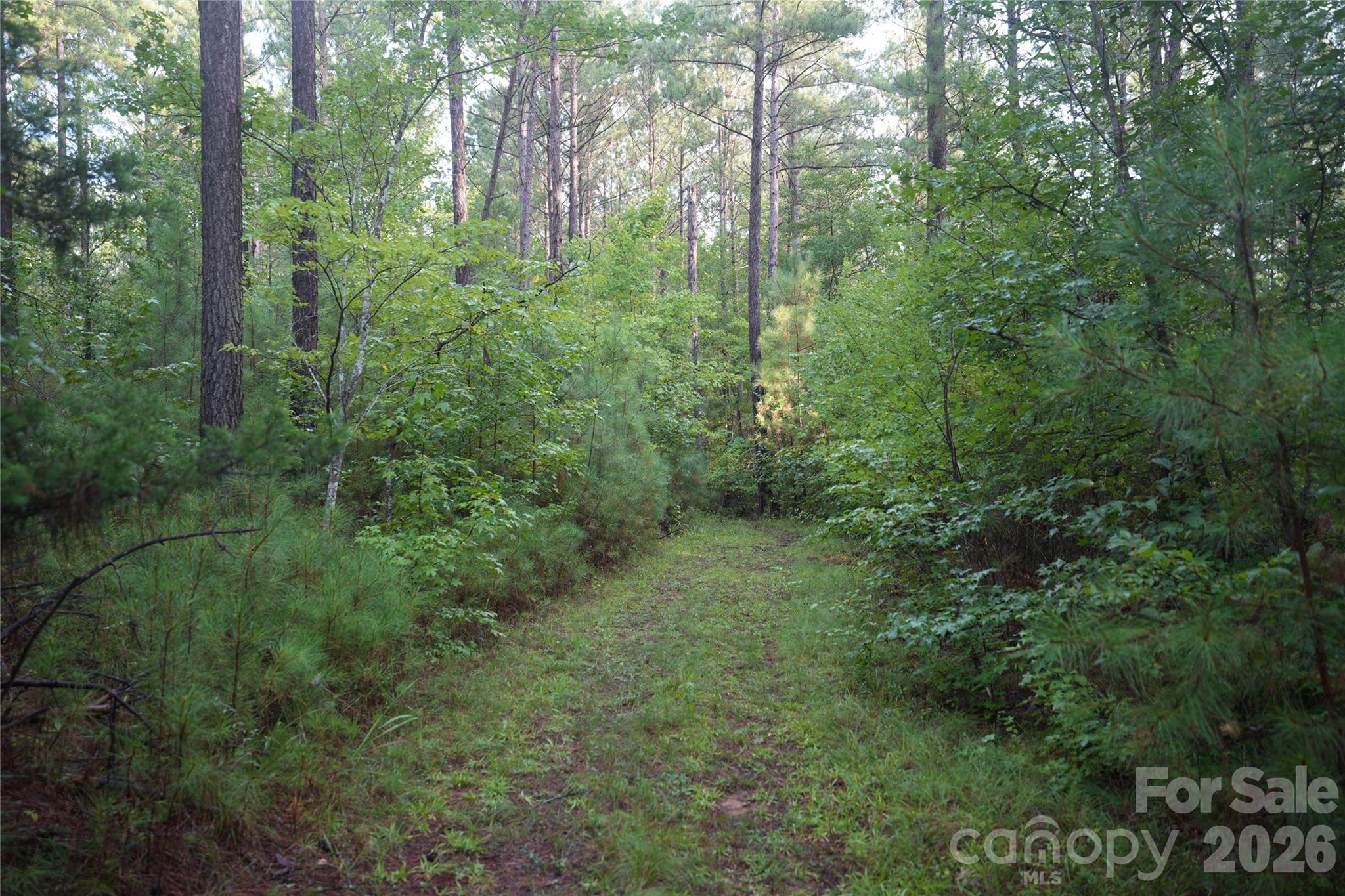 00 Bobby Faucette Road 5 Property Photo 3