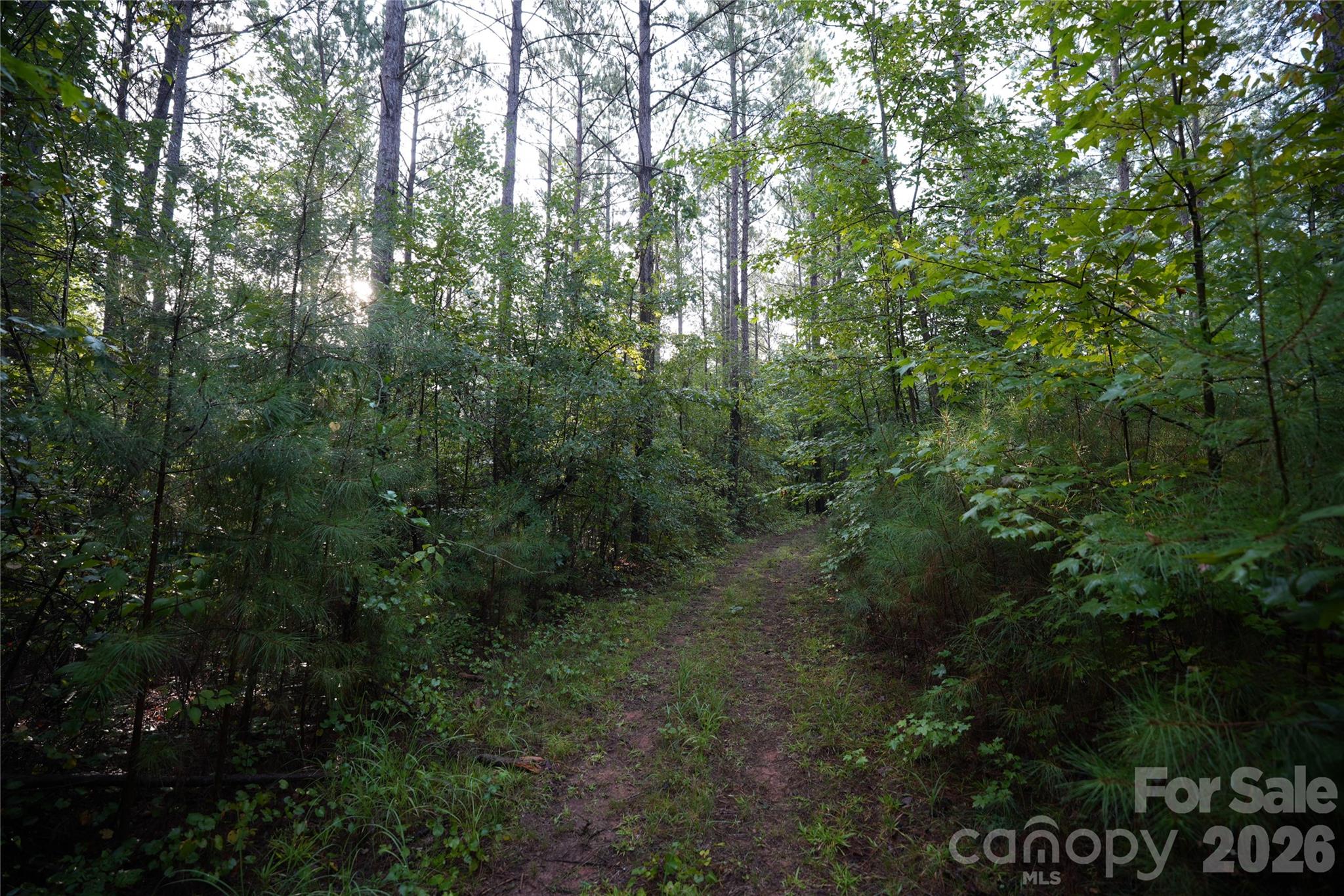 00 Bobby Faucette Road 5 Property Photo 6