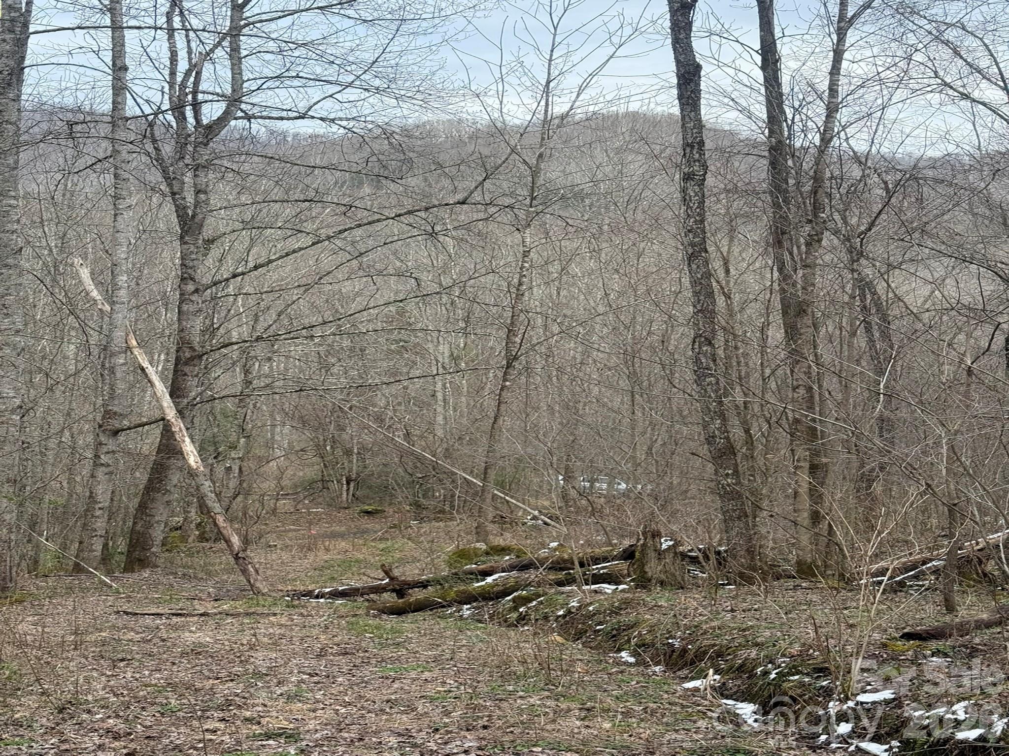 Tbd 1.21 Acres Jass Cove Road Property Photo 2