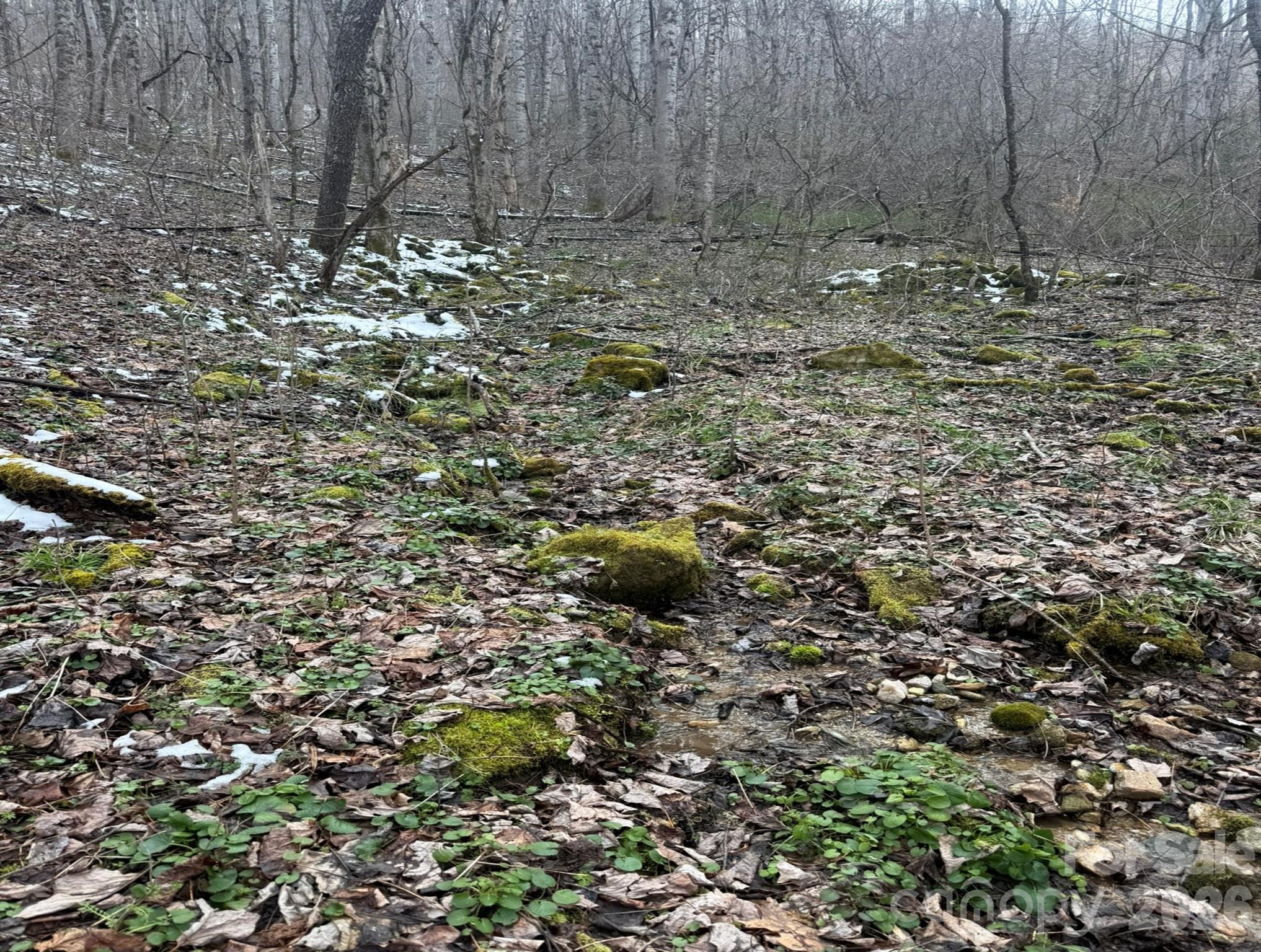 Tbd 1.21 Acres Jass Cove Road Property Photo 4