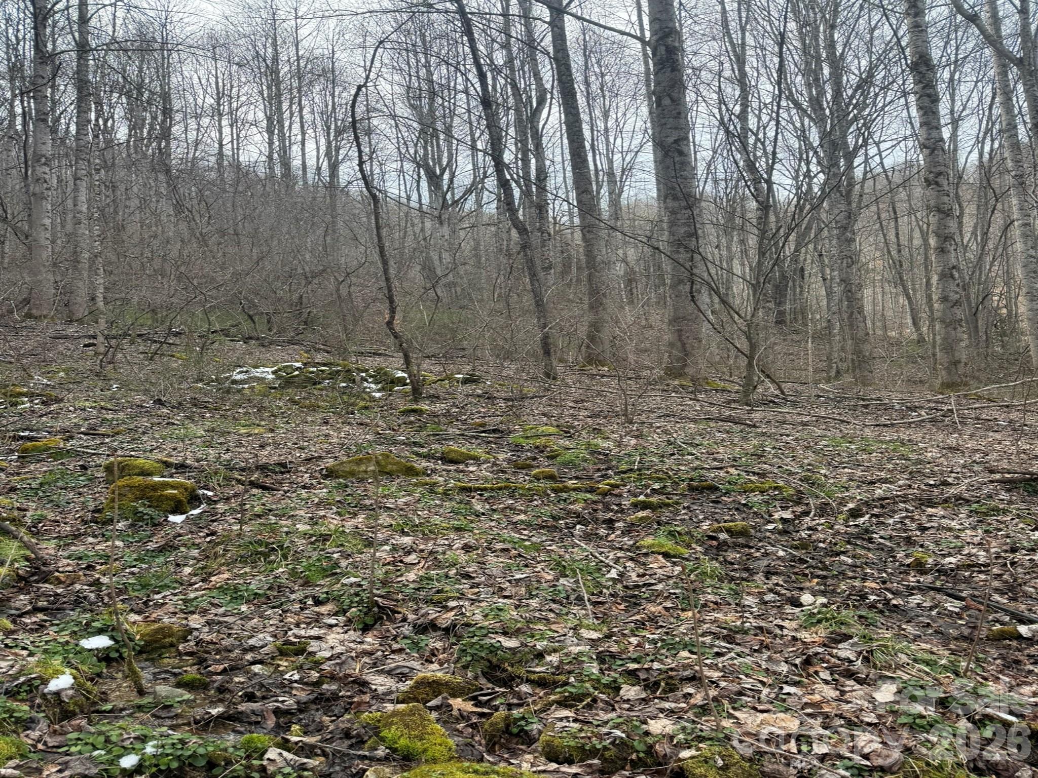 Tbd 1.21 Acres Jass Cove Road Property Photo 5