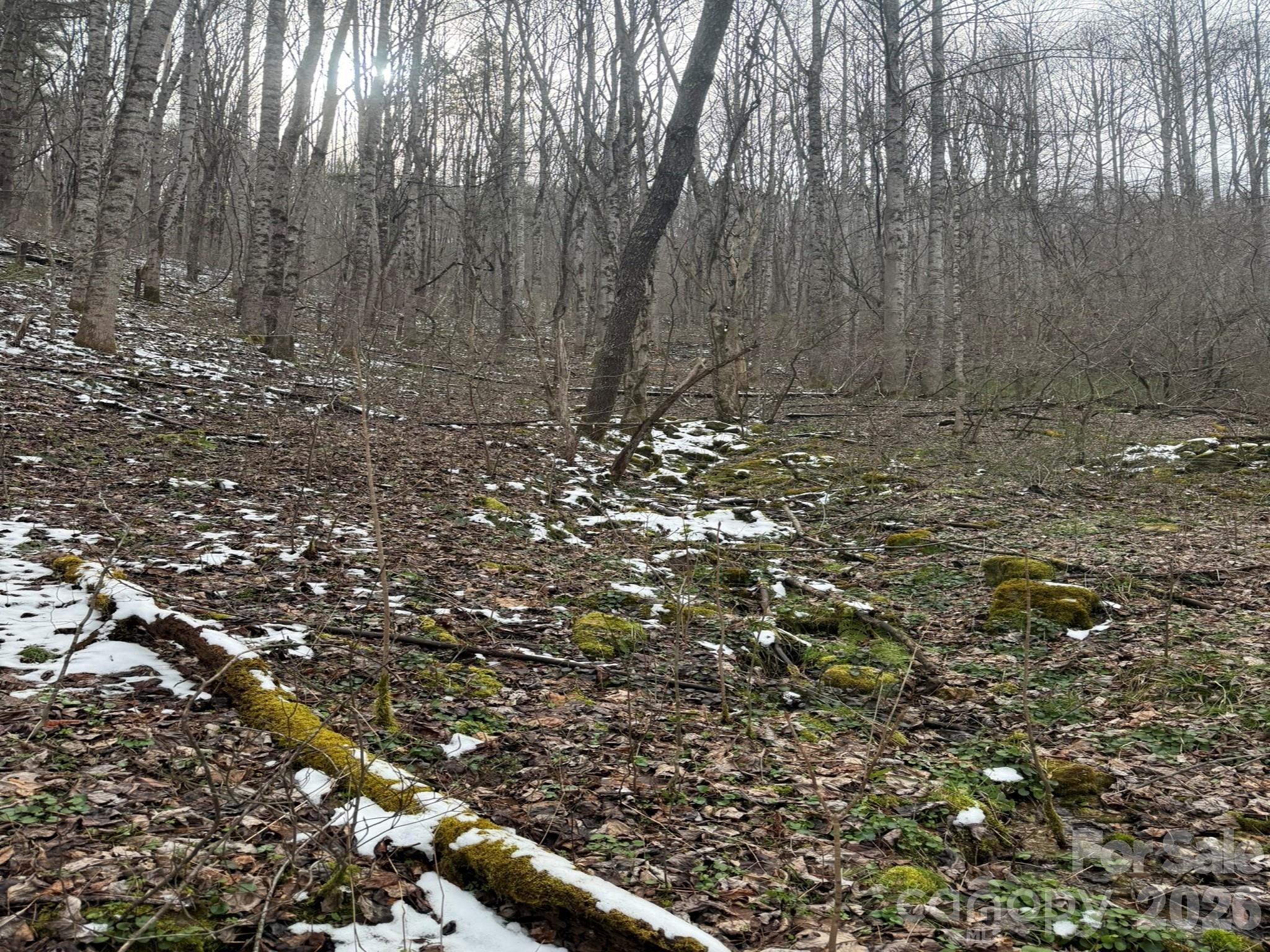 Tbd 1.21 Acres Jass Cove Road Property Photo 6