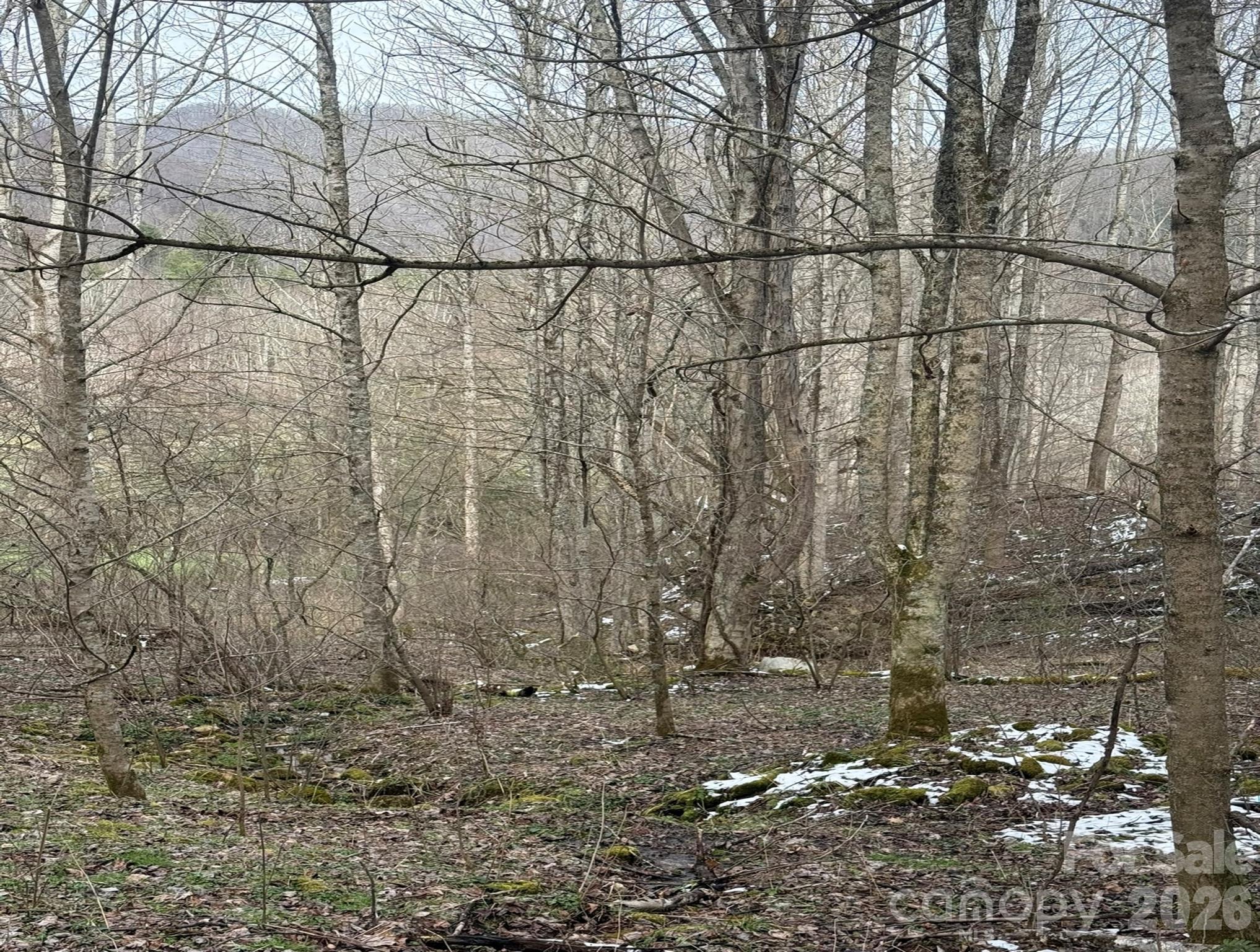 Tbd 1.21 Acres Jass Cove Road Property Photo 7