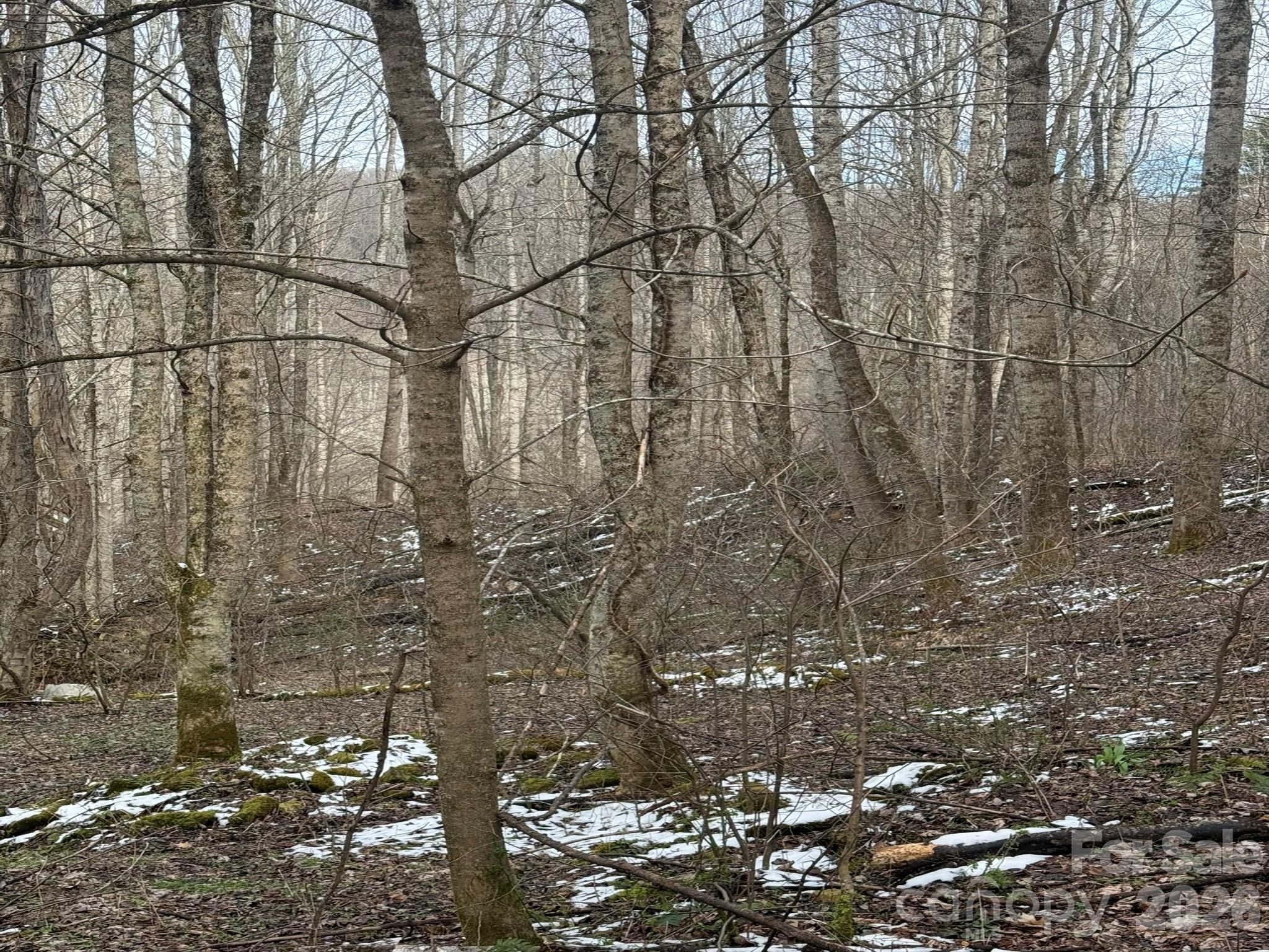 Tbd 1.21 Acres Jass Cove Road Property Photo 8