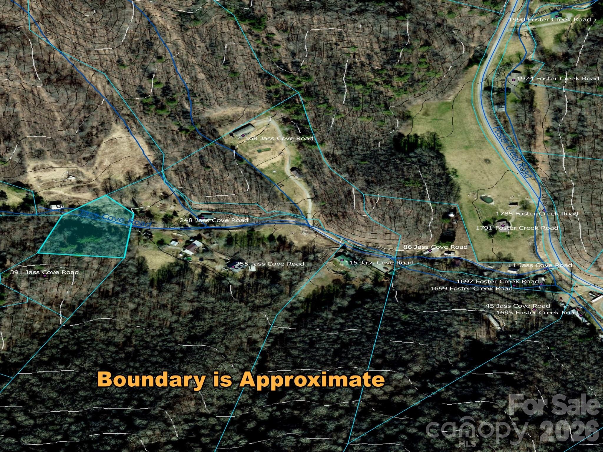 Tbd 1.2 Acres Jass Cove Road Property Photo 2