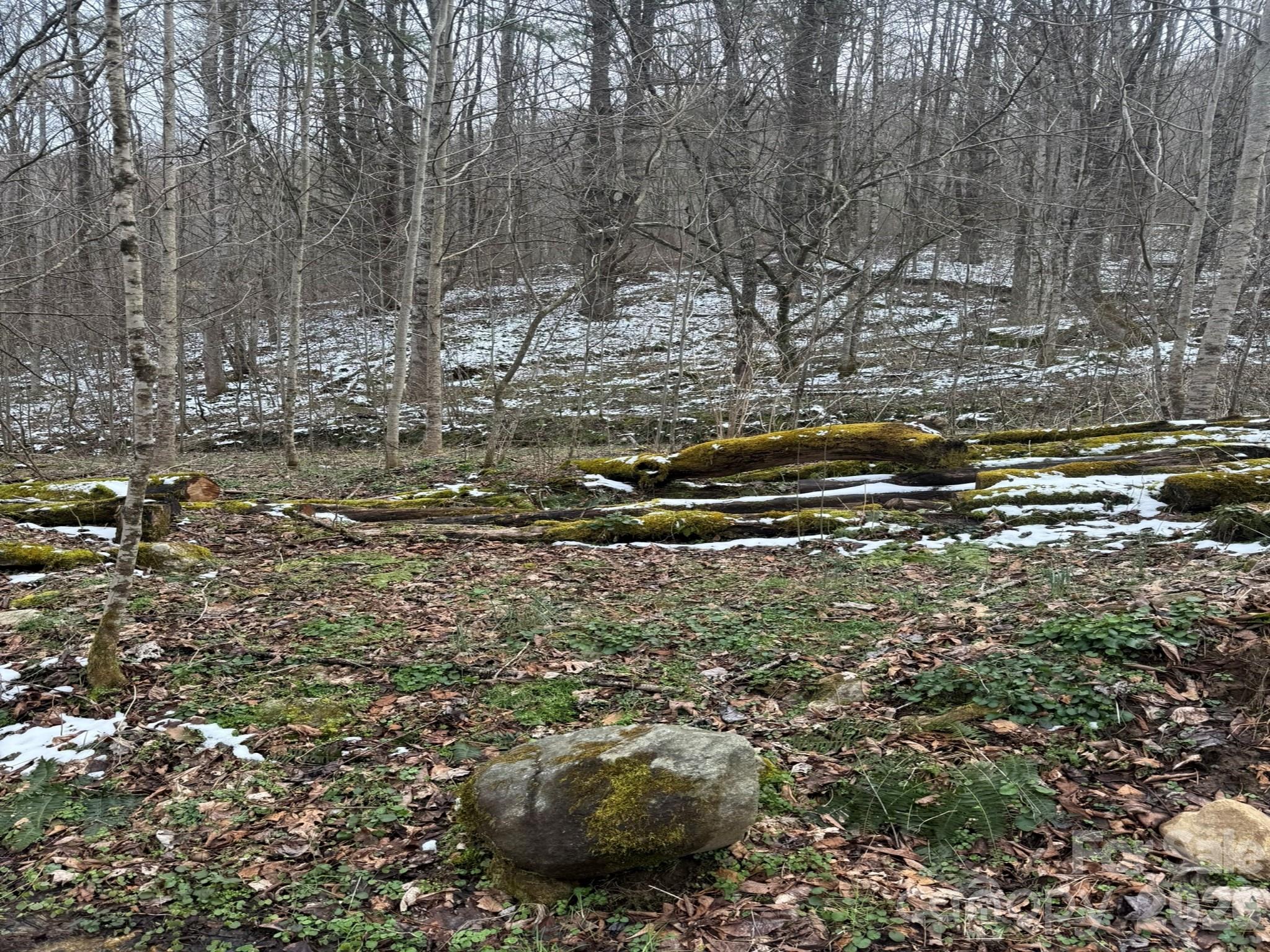 Tbd 1.2 Acres Jass Cove Road Property Photo 3