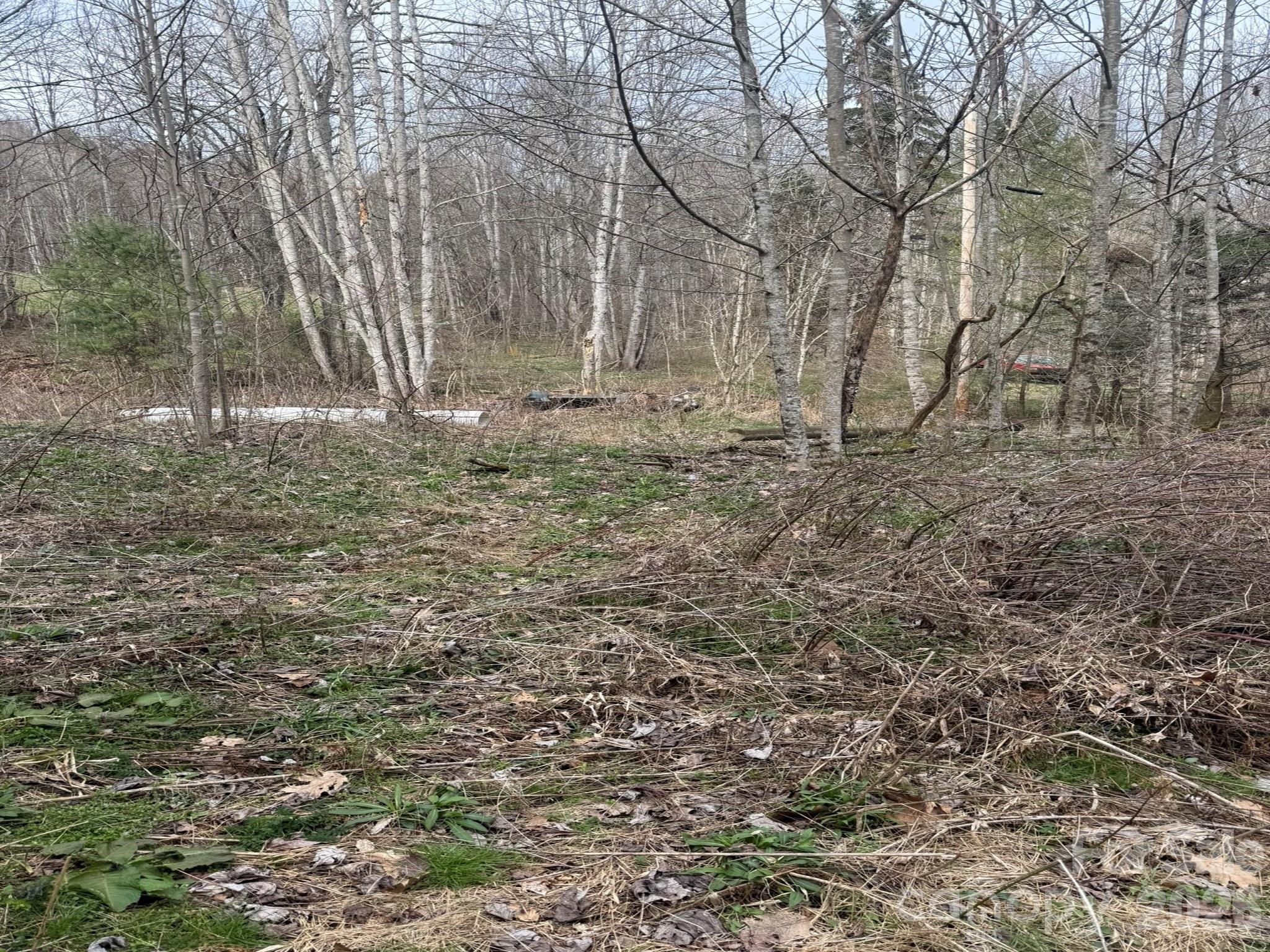 Tbd 1.2 Acres Jass Cove Road Property Photo 4