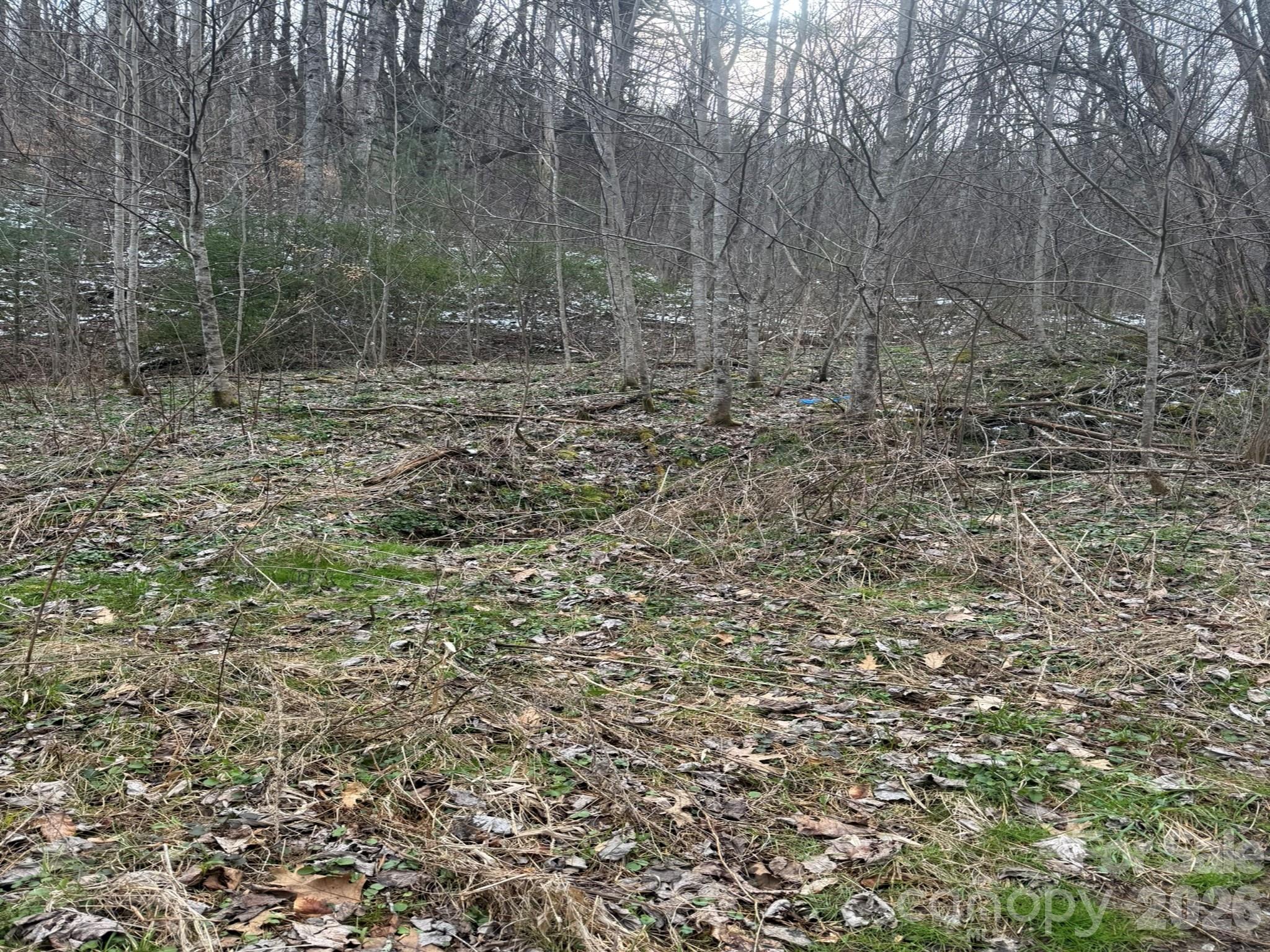 Tbd 1.2 Acres Jass Cove Road Property Photo 5