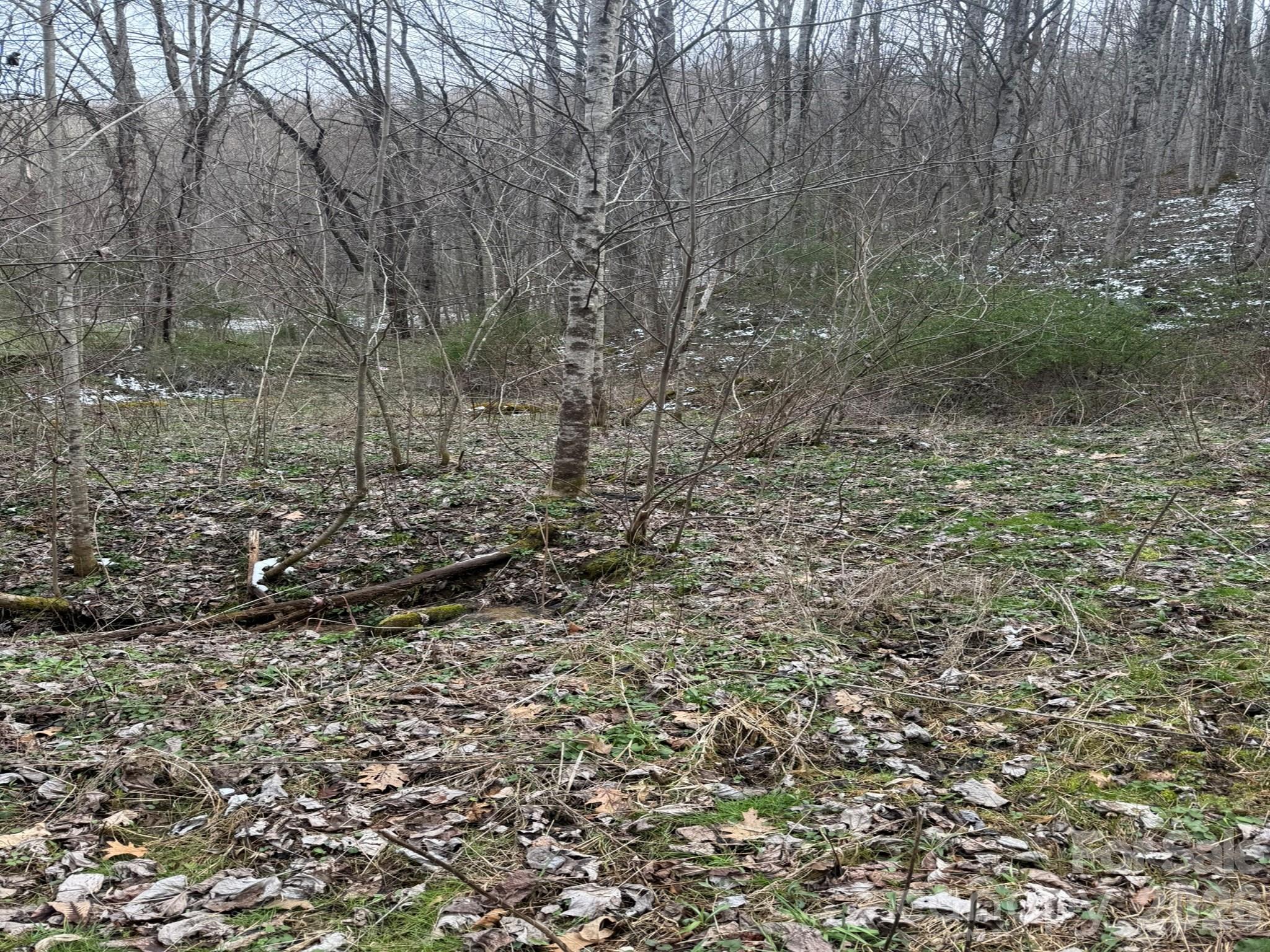 Tbd 1.2 Acres Jass Cove Road Property Photo 6